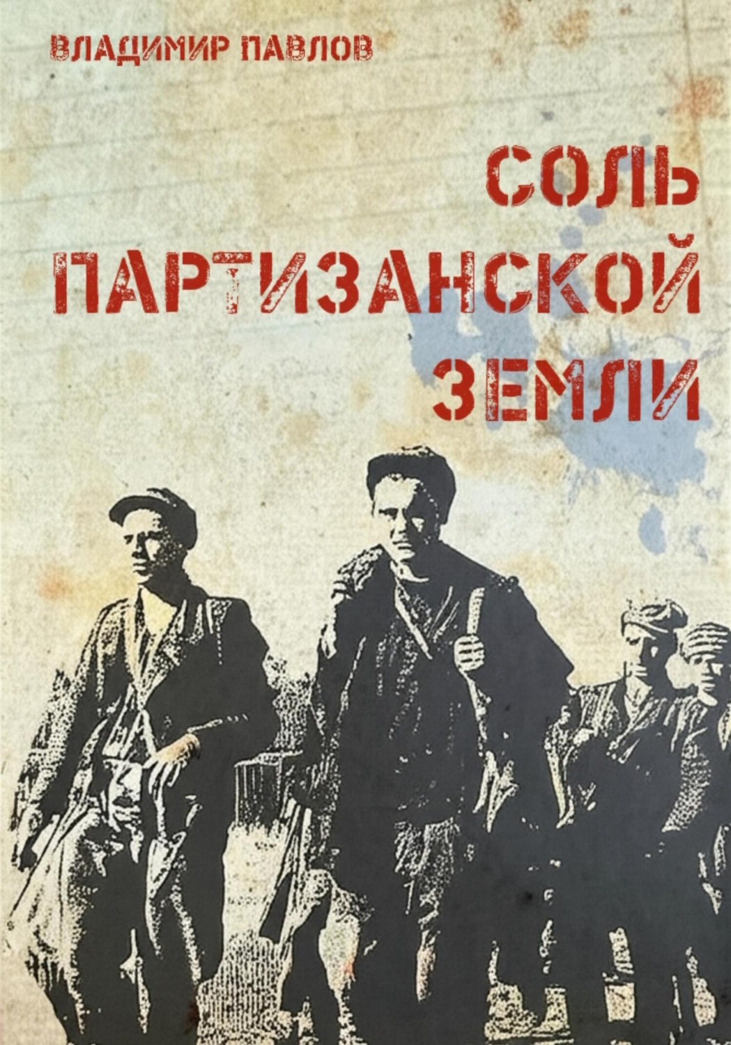 Обложка книги «Соль партизанской земли»
