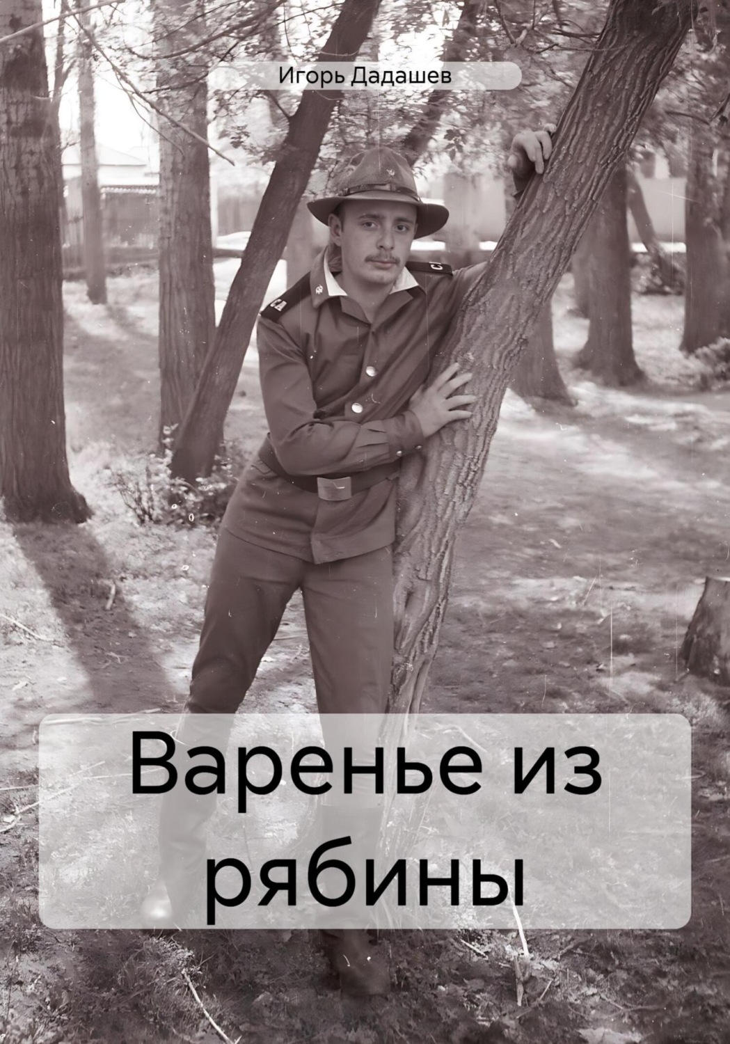 Обложка книги «Варенье из рябины»