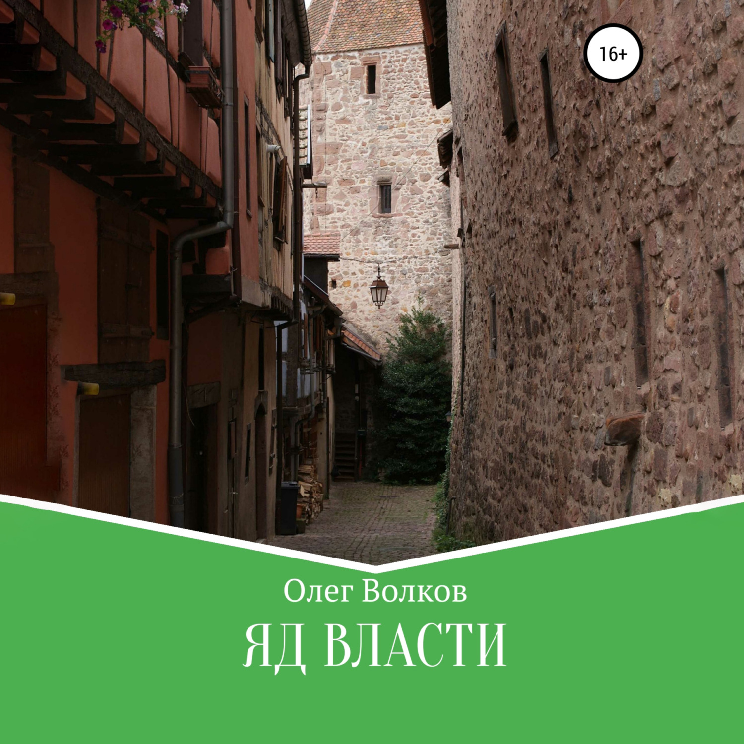 Обложка книги «Яд власти»
