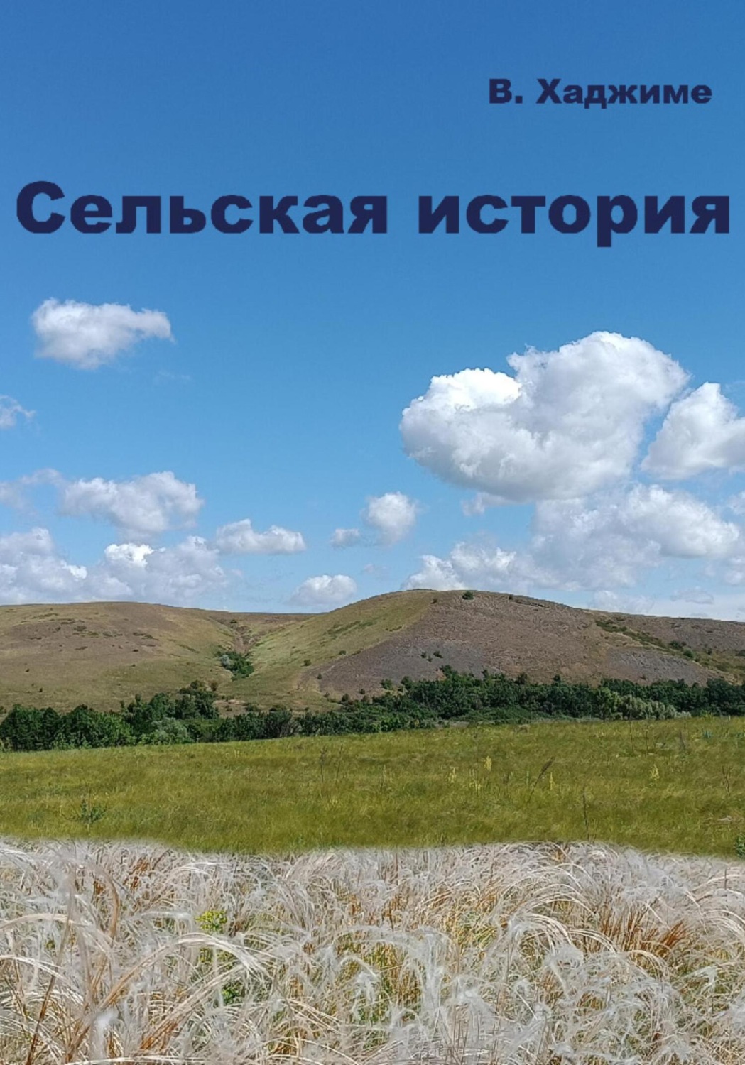 Обложка книги «Сельская история»