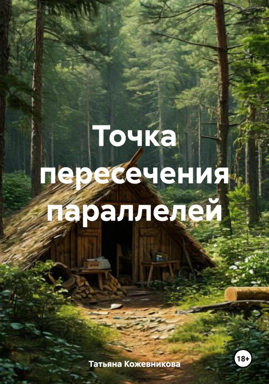 Обложка книги «Точка пересечения параллелей»