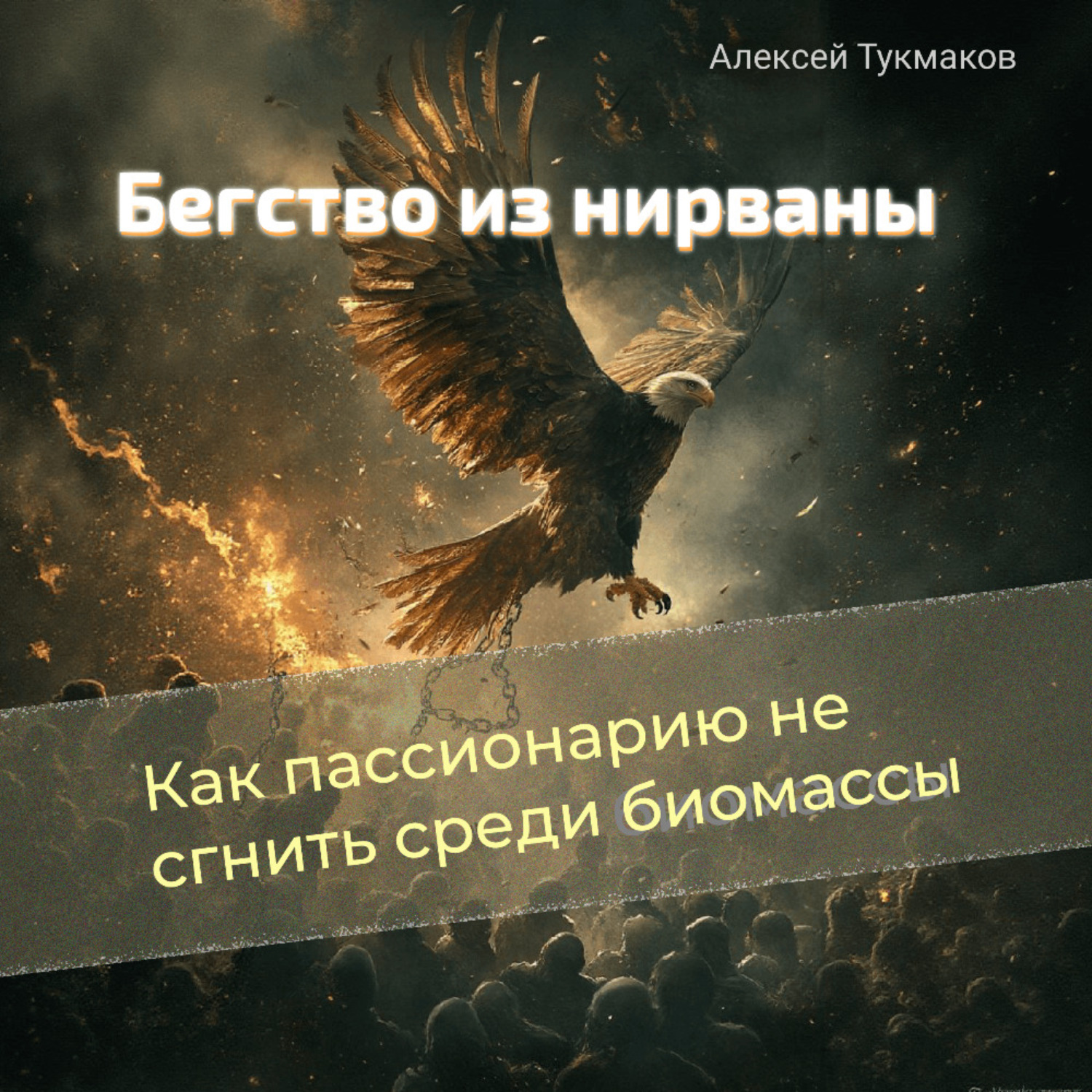 Обложка книги «Бегство из нирваны: Как пассионарию не сгнить среди биомассы»