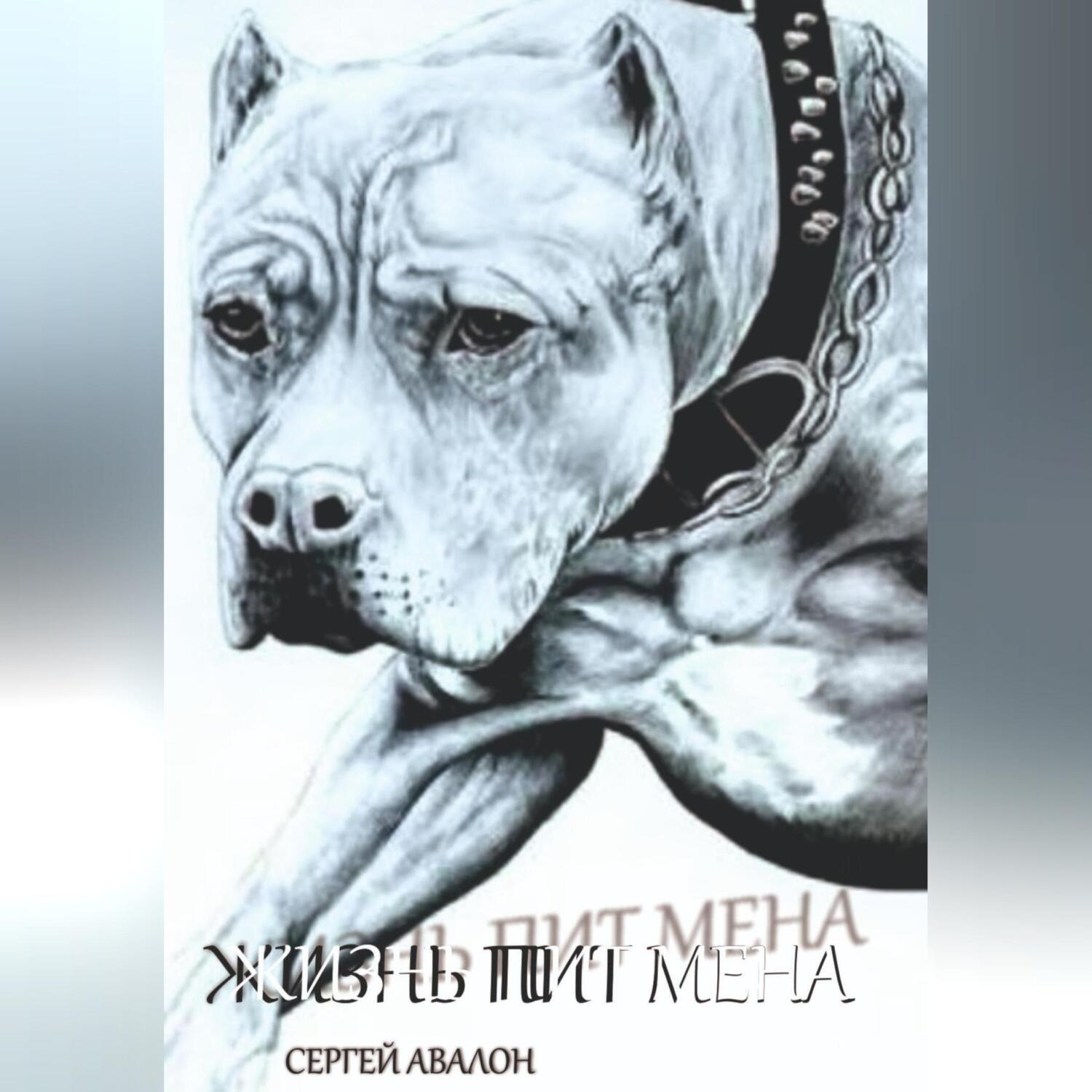 Обложка книги «Жизнь Пит мена»
