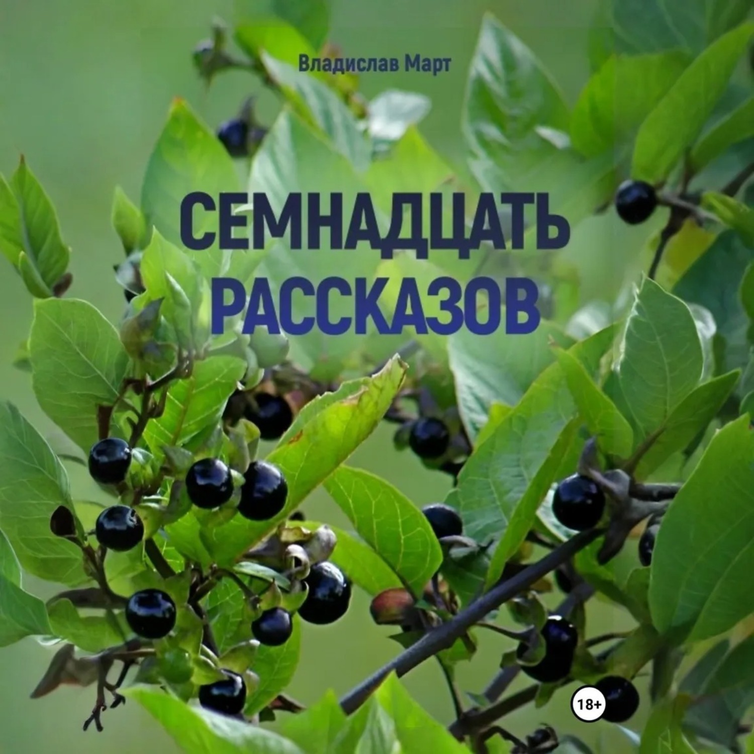 Обложка книги «Семнадцать рассказов»
