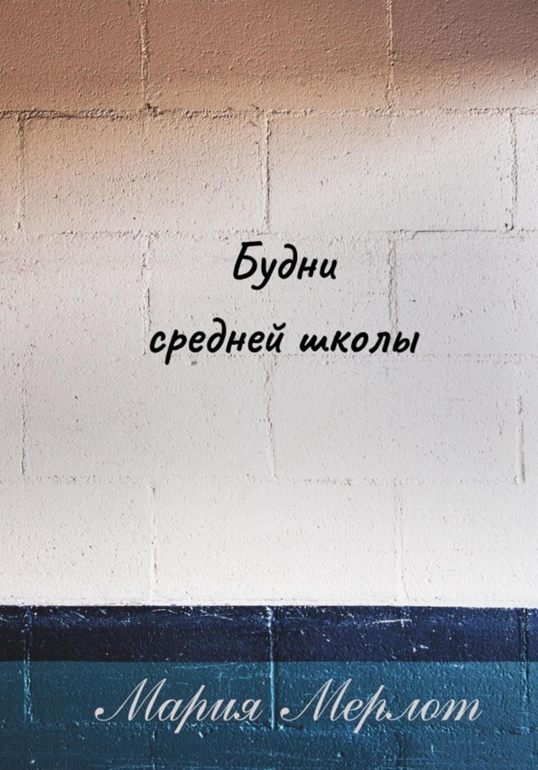 Обложка книги «Будни Средней Школы»