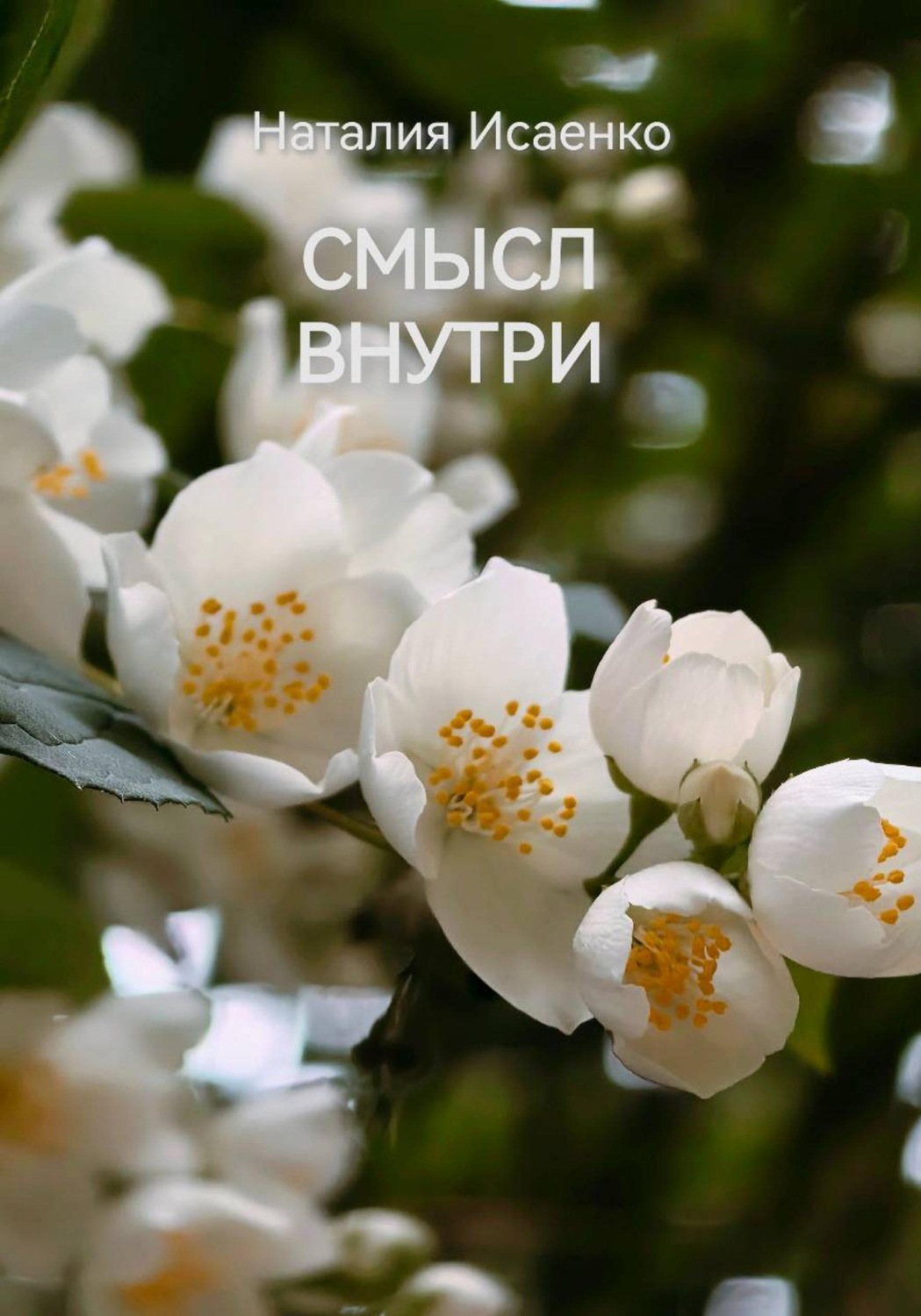 Обложка книги «СМЫСЛ ВНУТРИ»