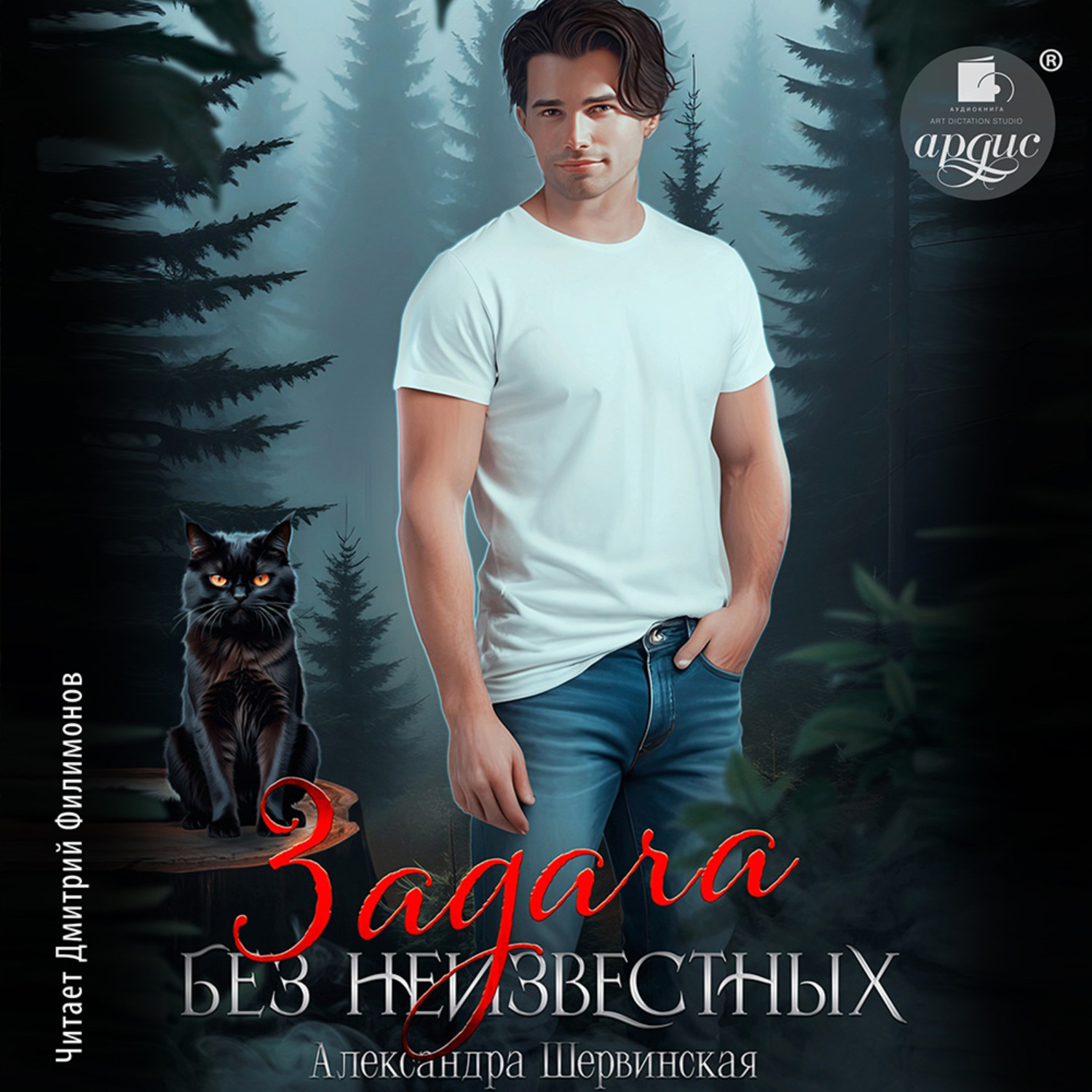Обложка книги «Задача без неизвестных»
