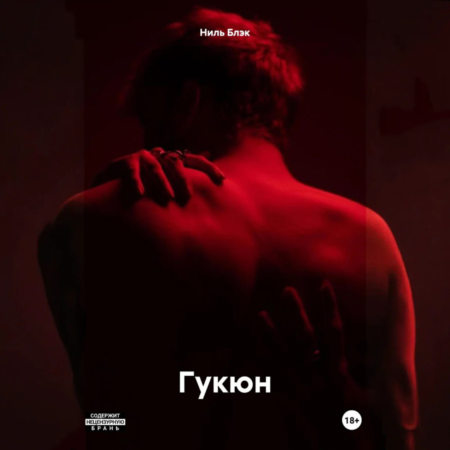 Обложка книги «Гукюн»