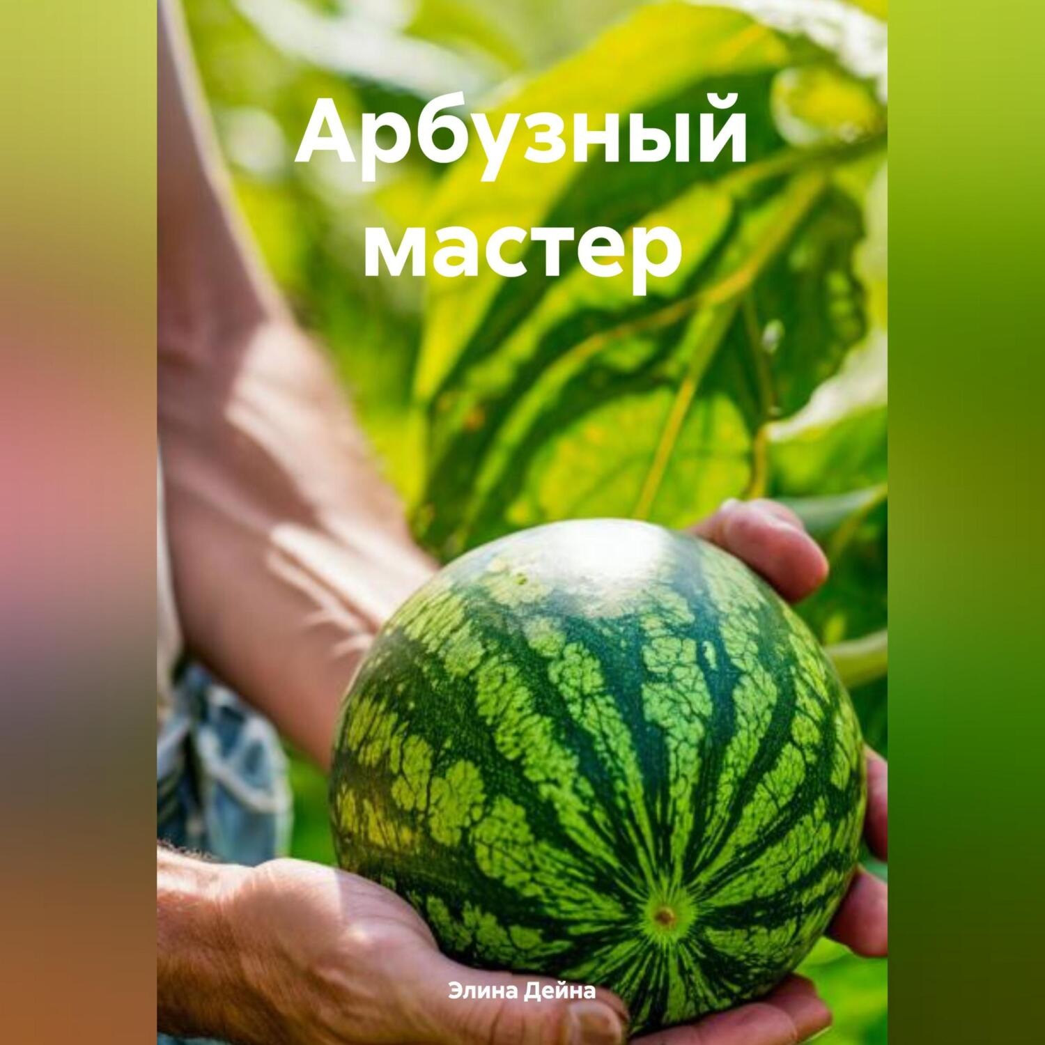 Обложка книги «Арбузный мастер»