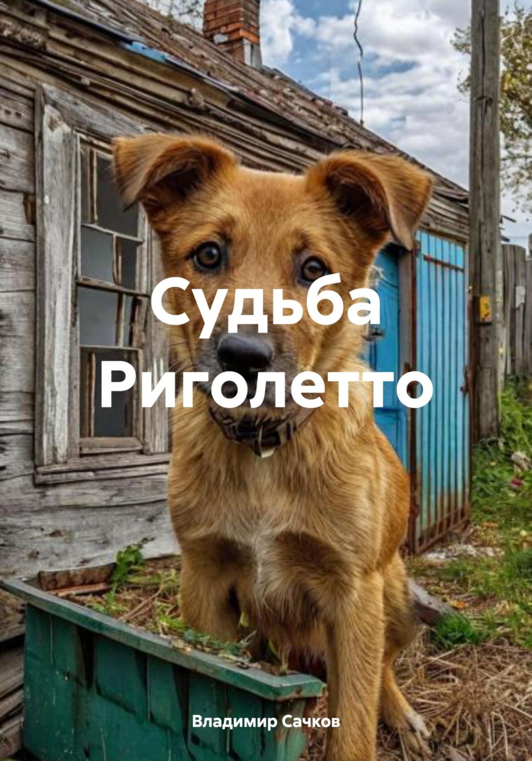 Обложка книги «Судьба Риголетто»