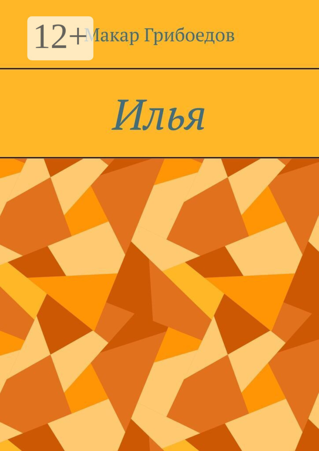 Обложка книги «Илья»