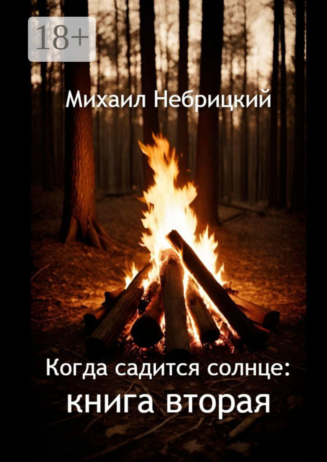 Обложка книги «Когда садится солнце: Книга вторая»