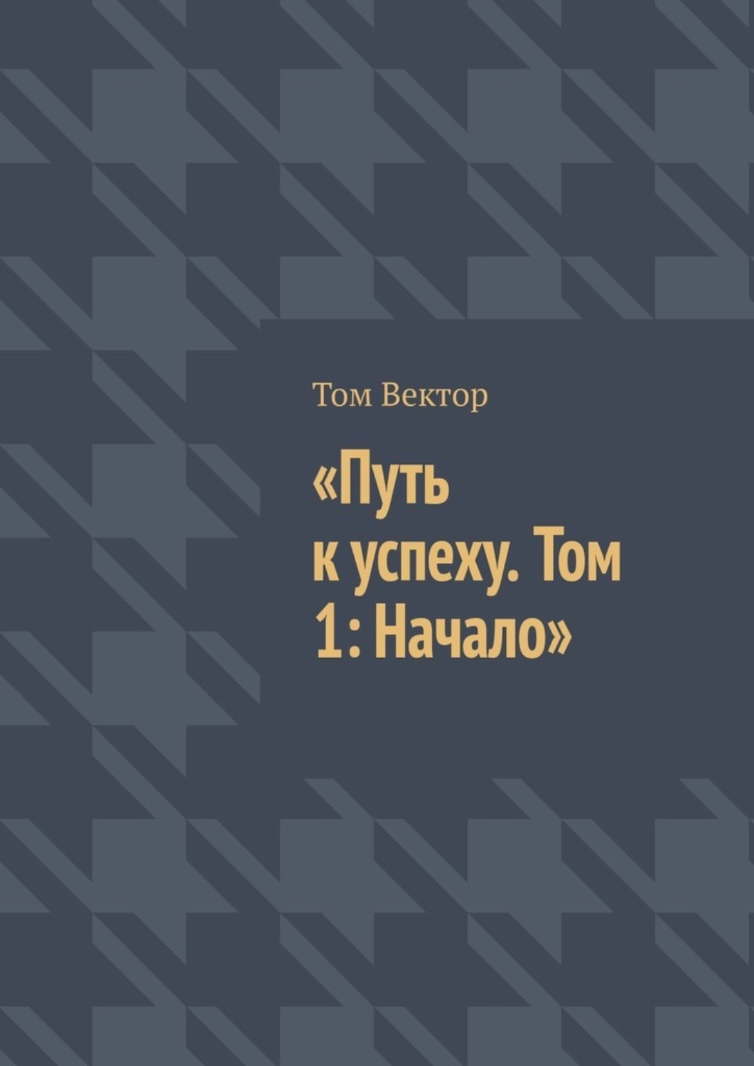 Обложка книги «Путь к успеху. Том 1: Начало»