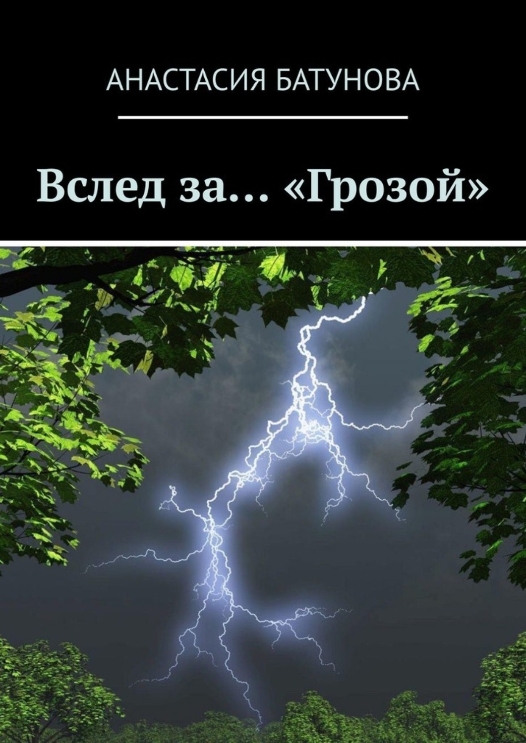 Обложка книги «Вслед за… «Грозой»»