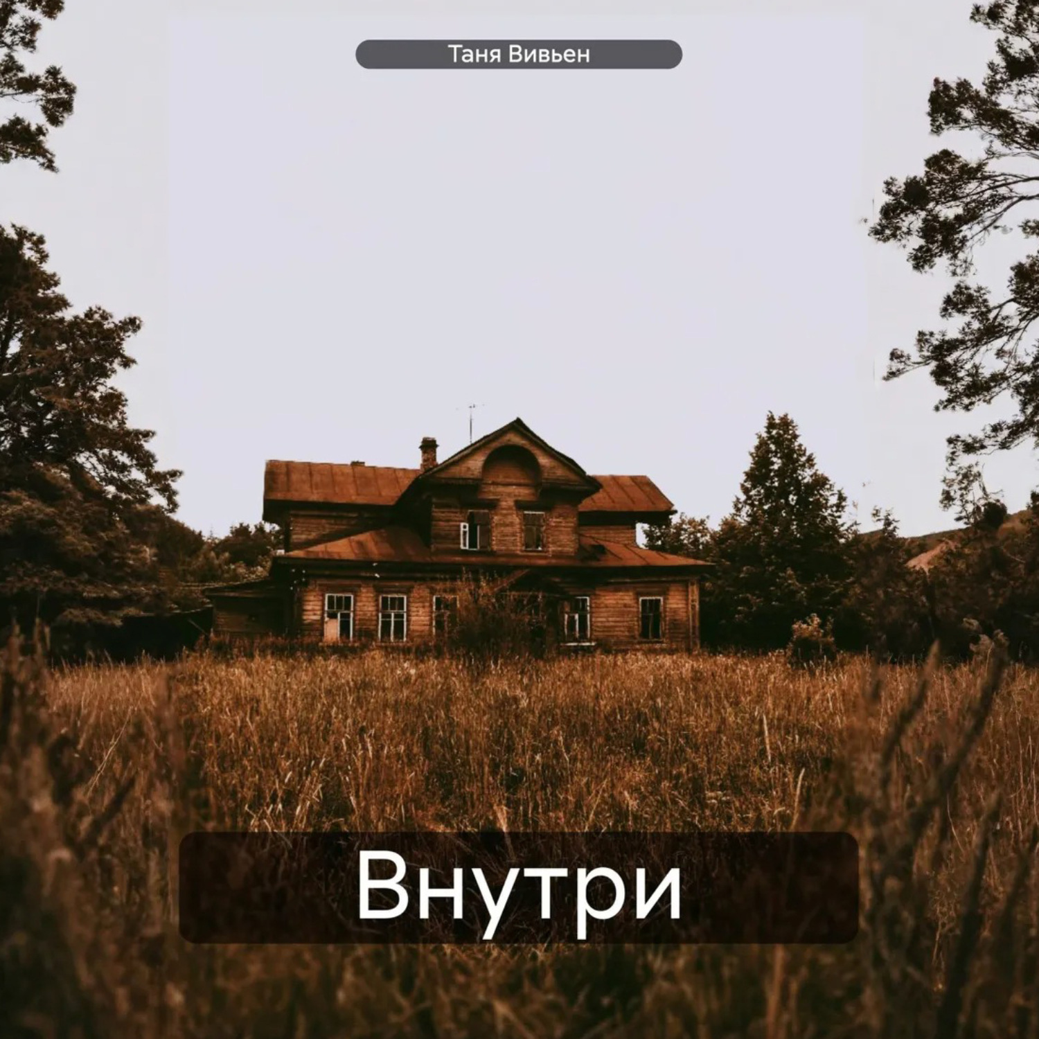 Обложка книги «Внутри»