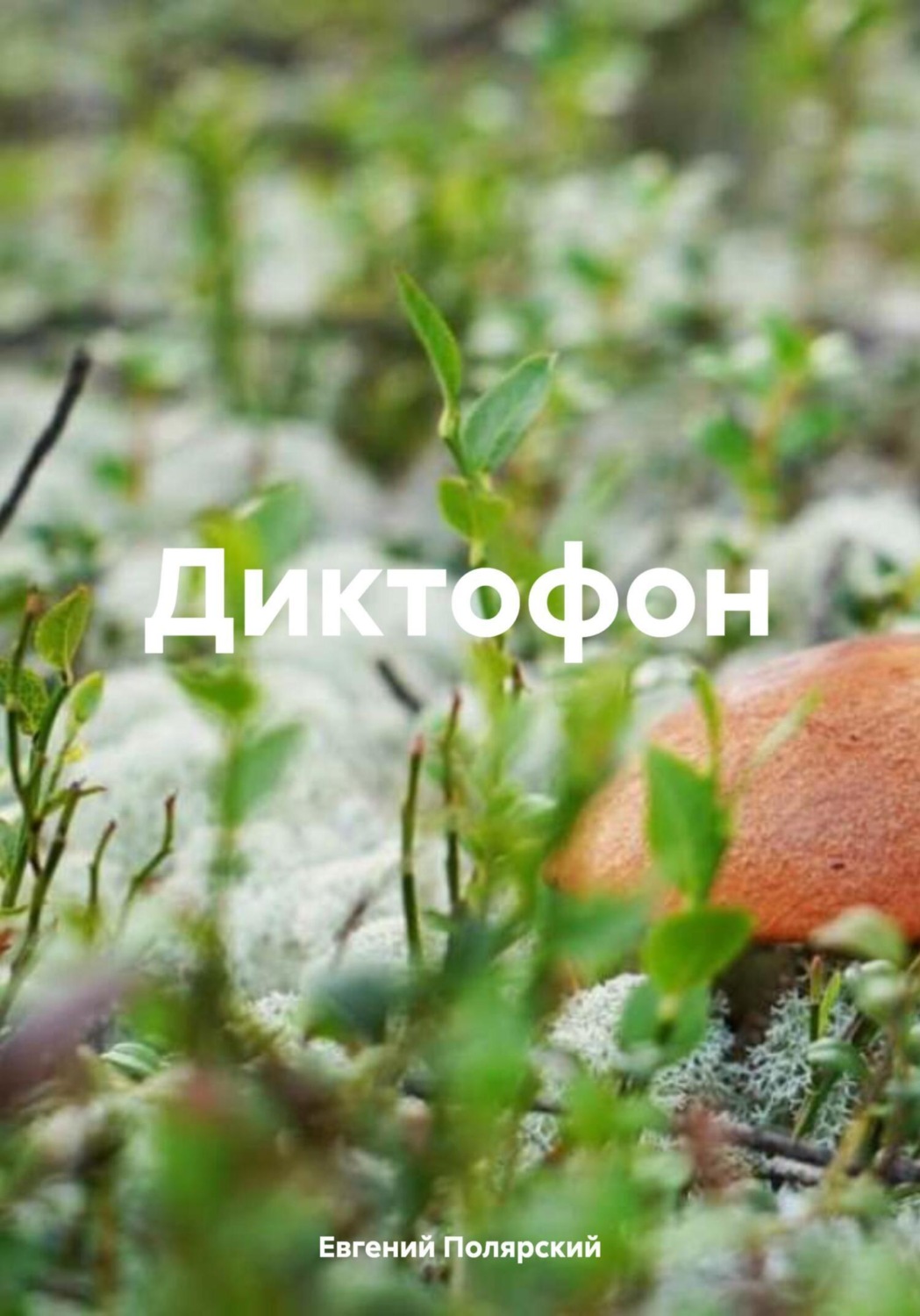 Обложка книги «Диктофон»