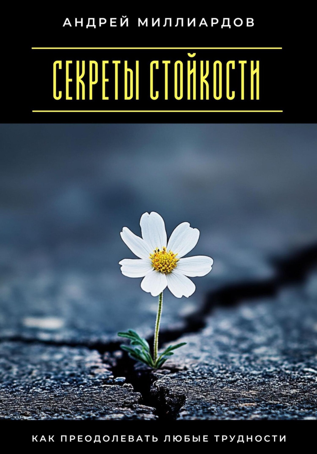 Обложка книги «Секреты стойкости. Как преодолевать любые трудности»