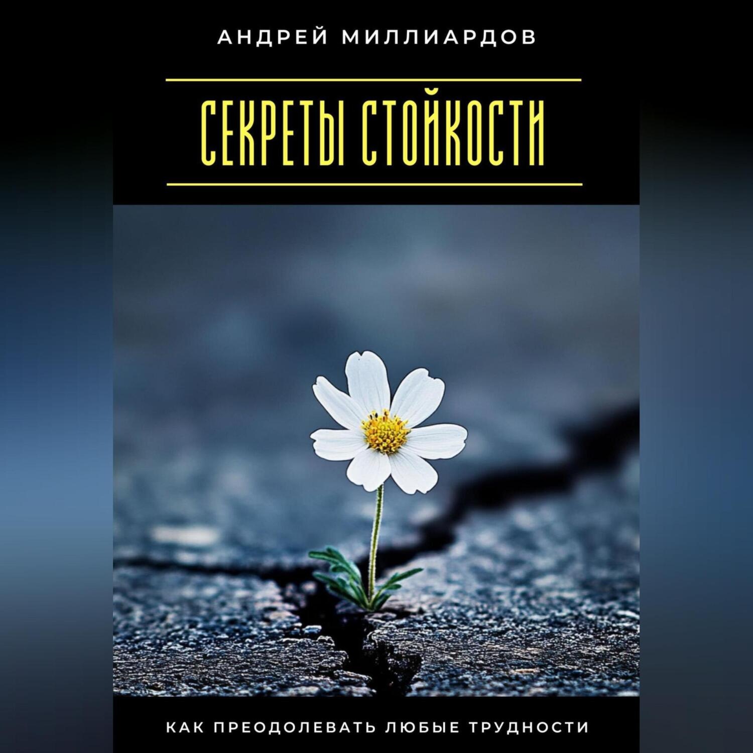 Обложка книги «Секреты стойкости. Как преодолевать любые трудности»