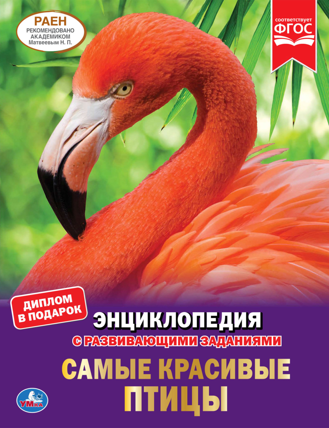 Обложка книги «Самые красивые птицы»