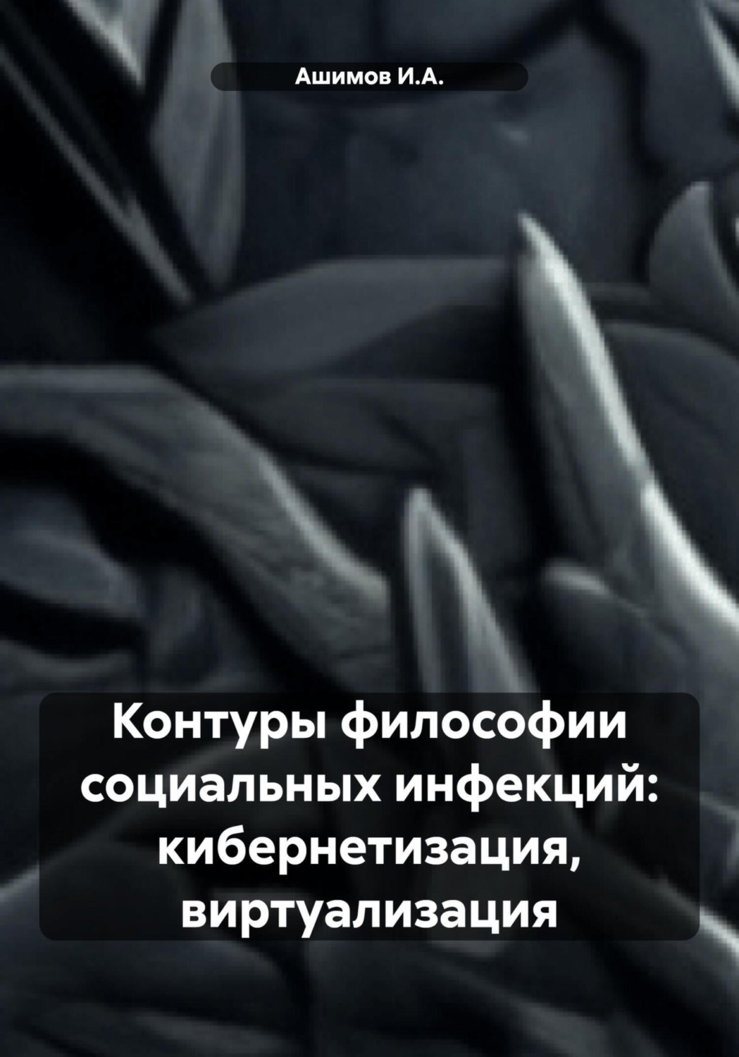 Обложка книги «Контуры философии социальных инфекций: кибернетизация, виртуализация»