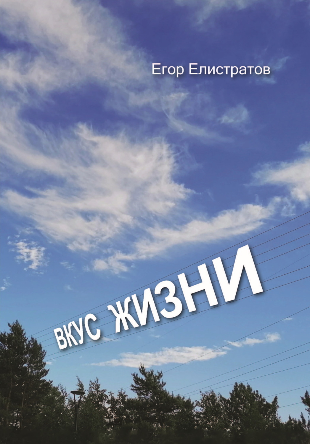 Обложка книги «Вкус жизни»