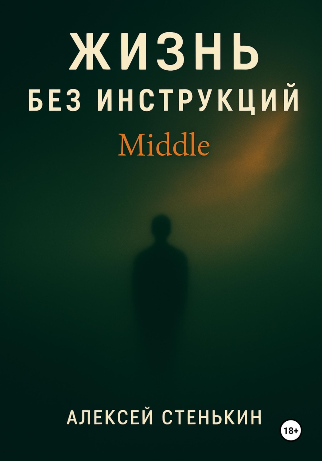 Обложка книги «Жизнь без инструкций: Middle»