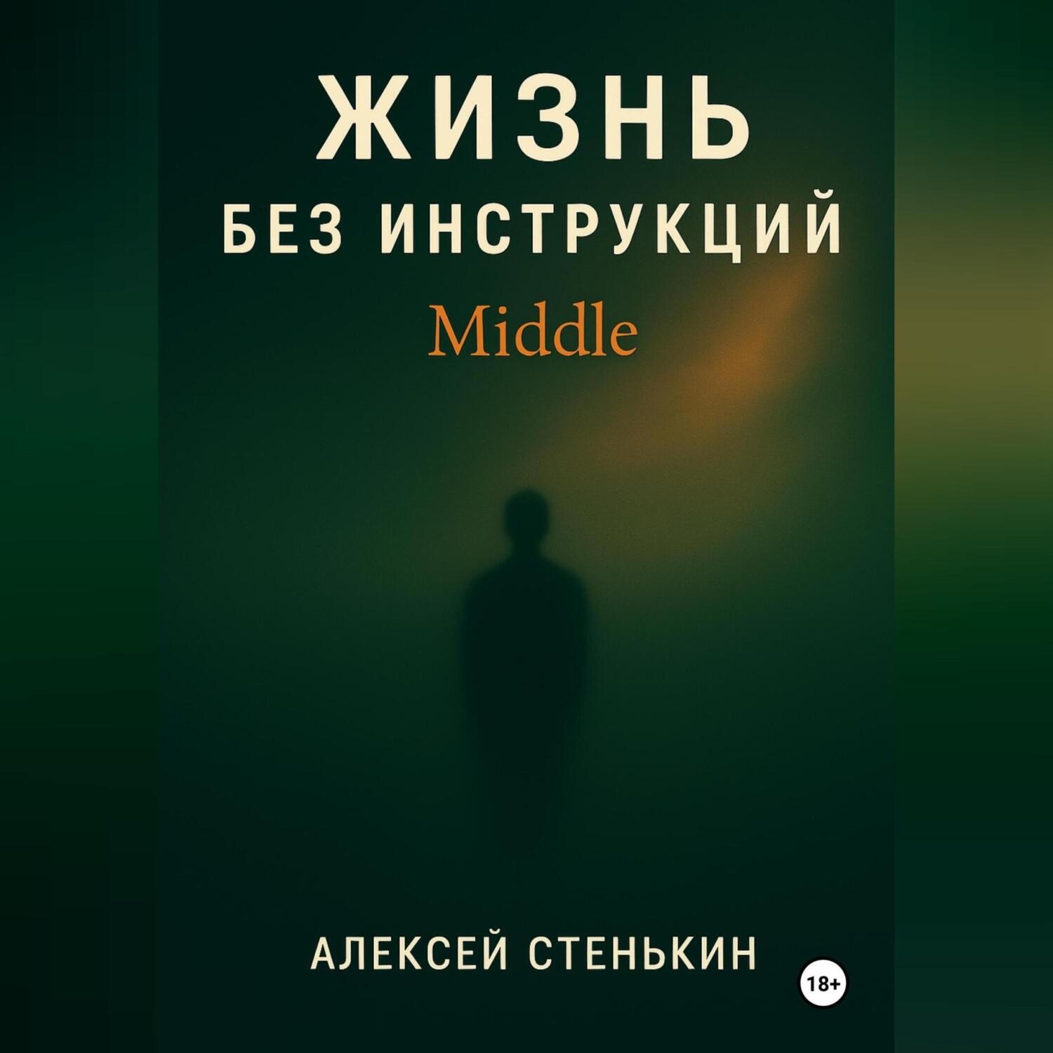 Обложка книги «Жизнь без инструкций: Middle»