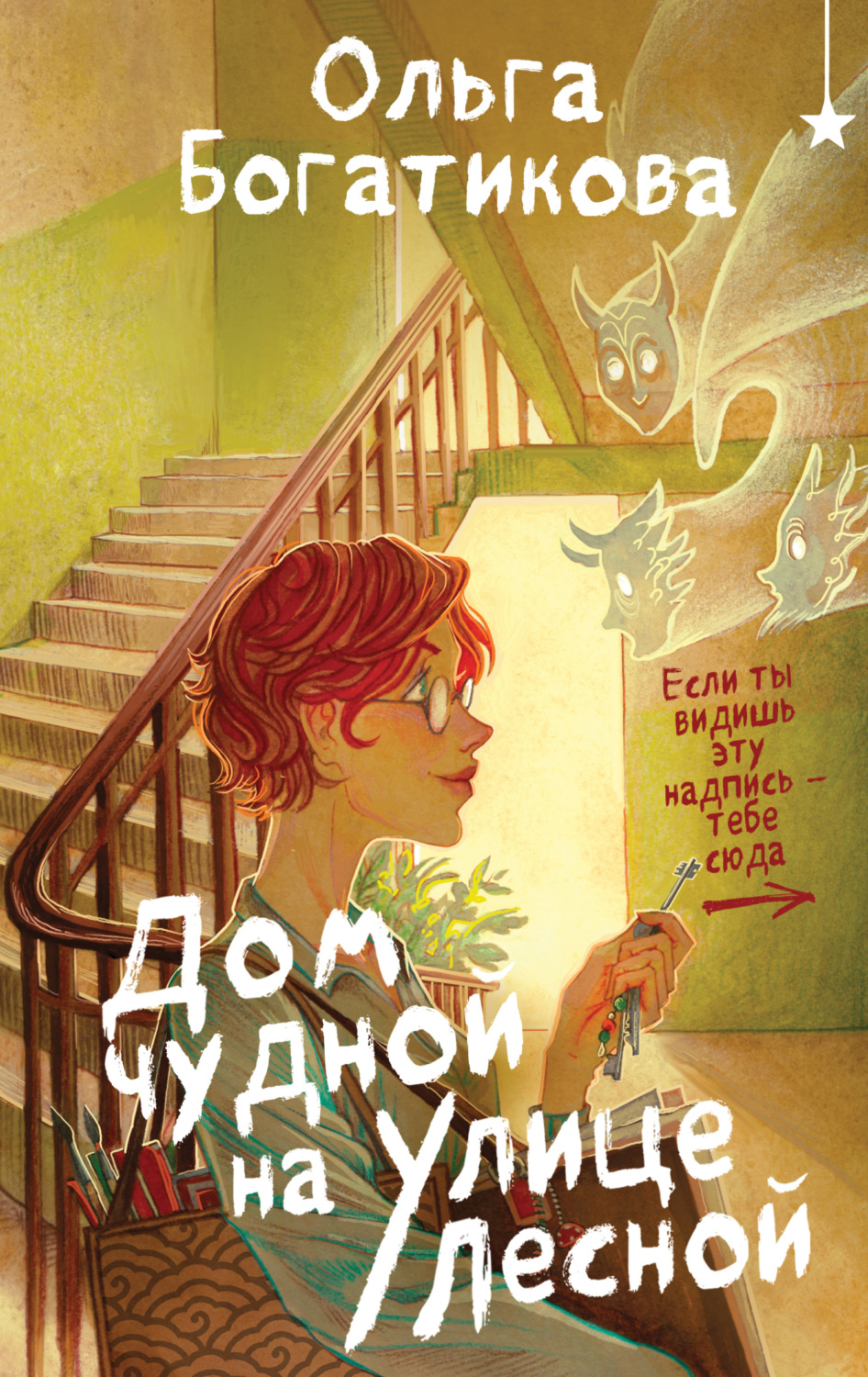 Обложка книги «Дом чудной на улице Лесной»