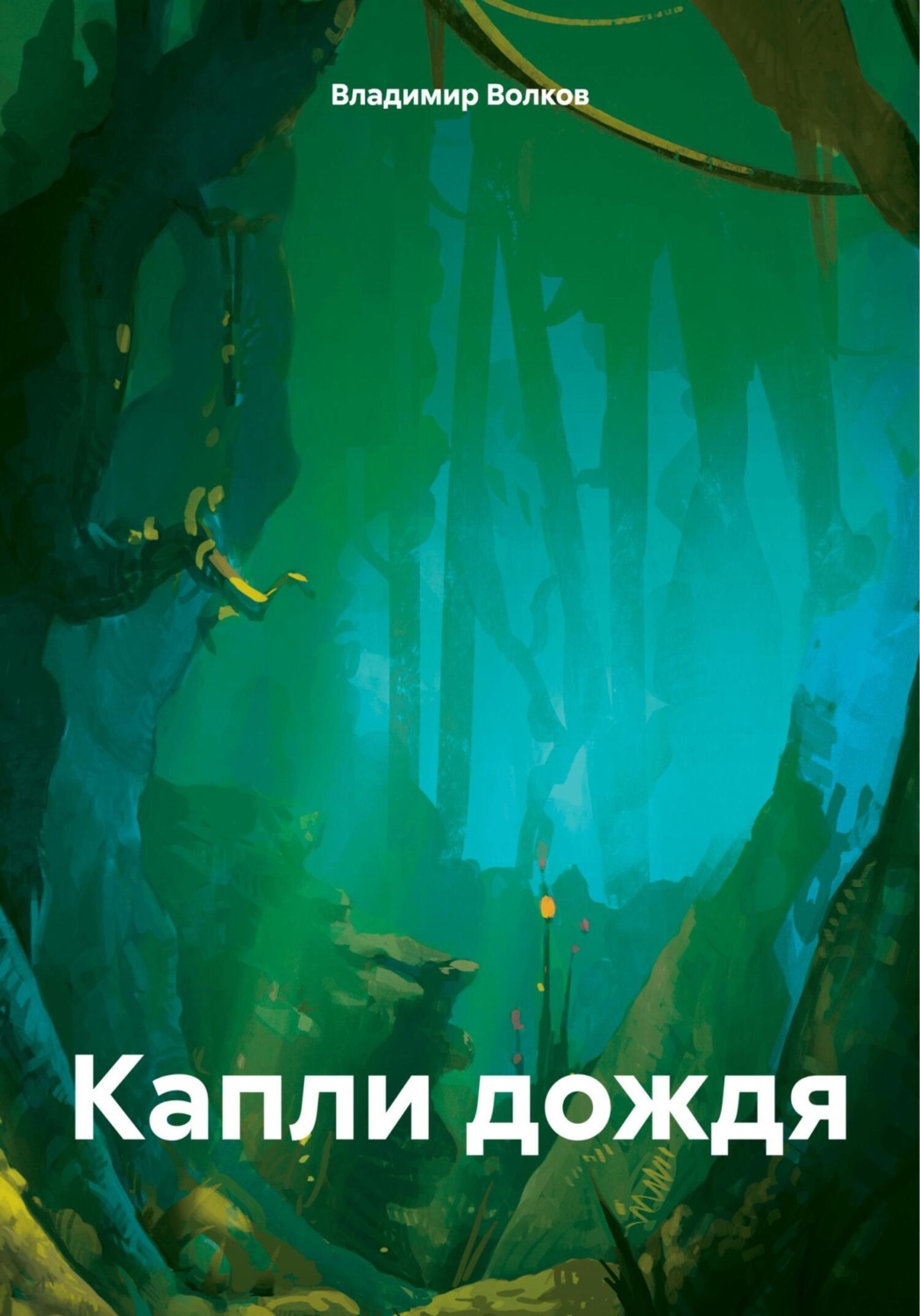Обложка книги «Капли дождя»