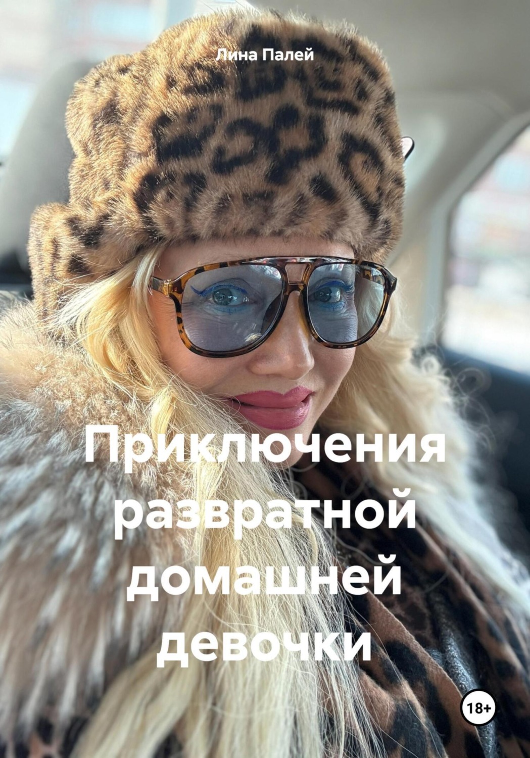 Обложка книги «Приключения развратной домашней девочки»