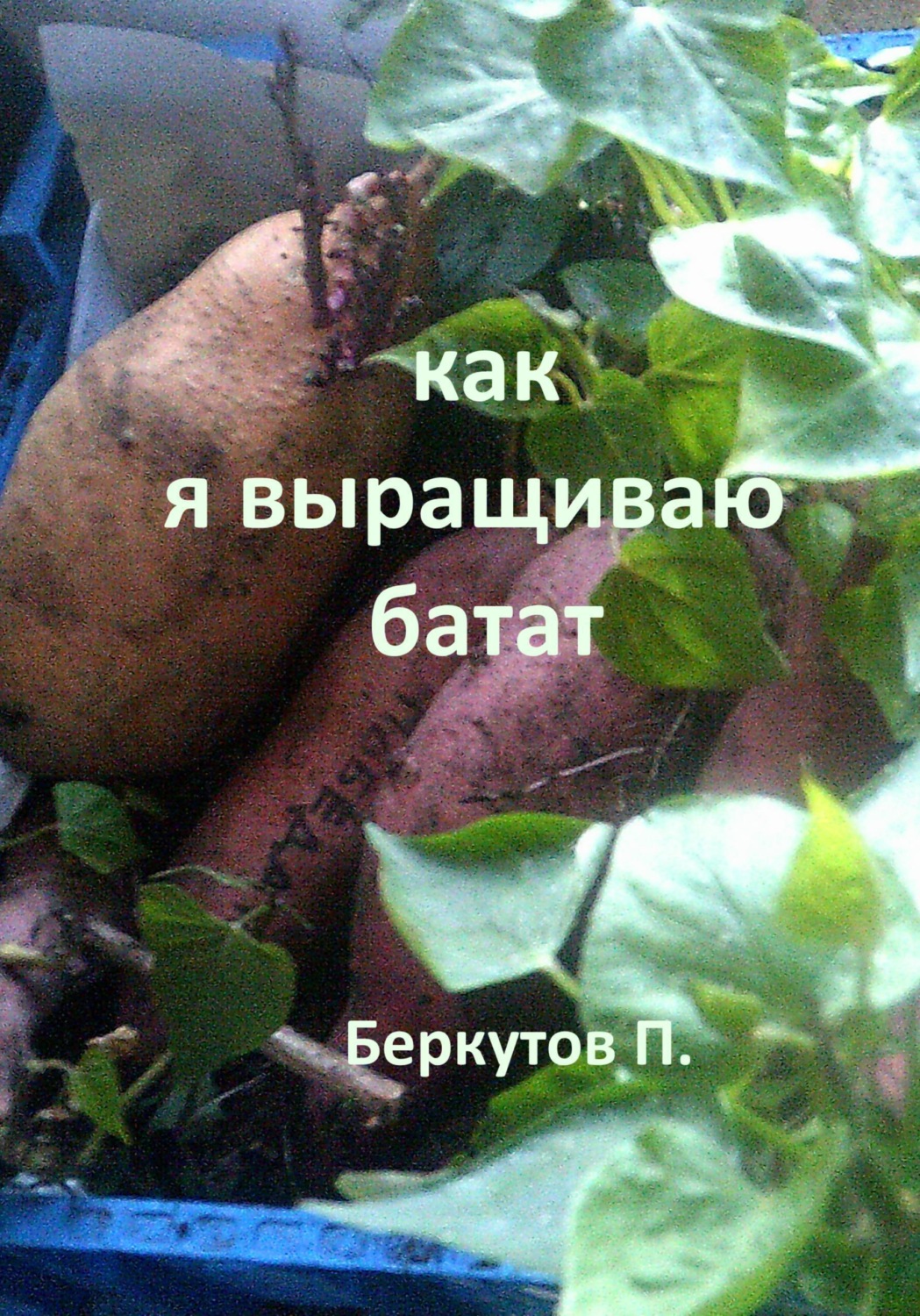 Обложка книги «Как я выращиваю батат»