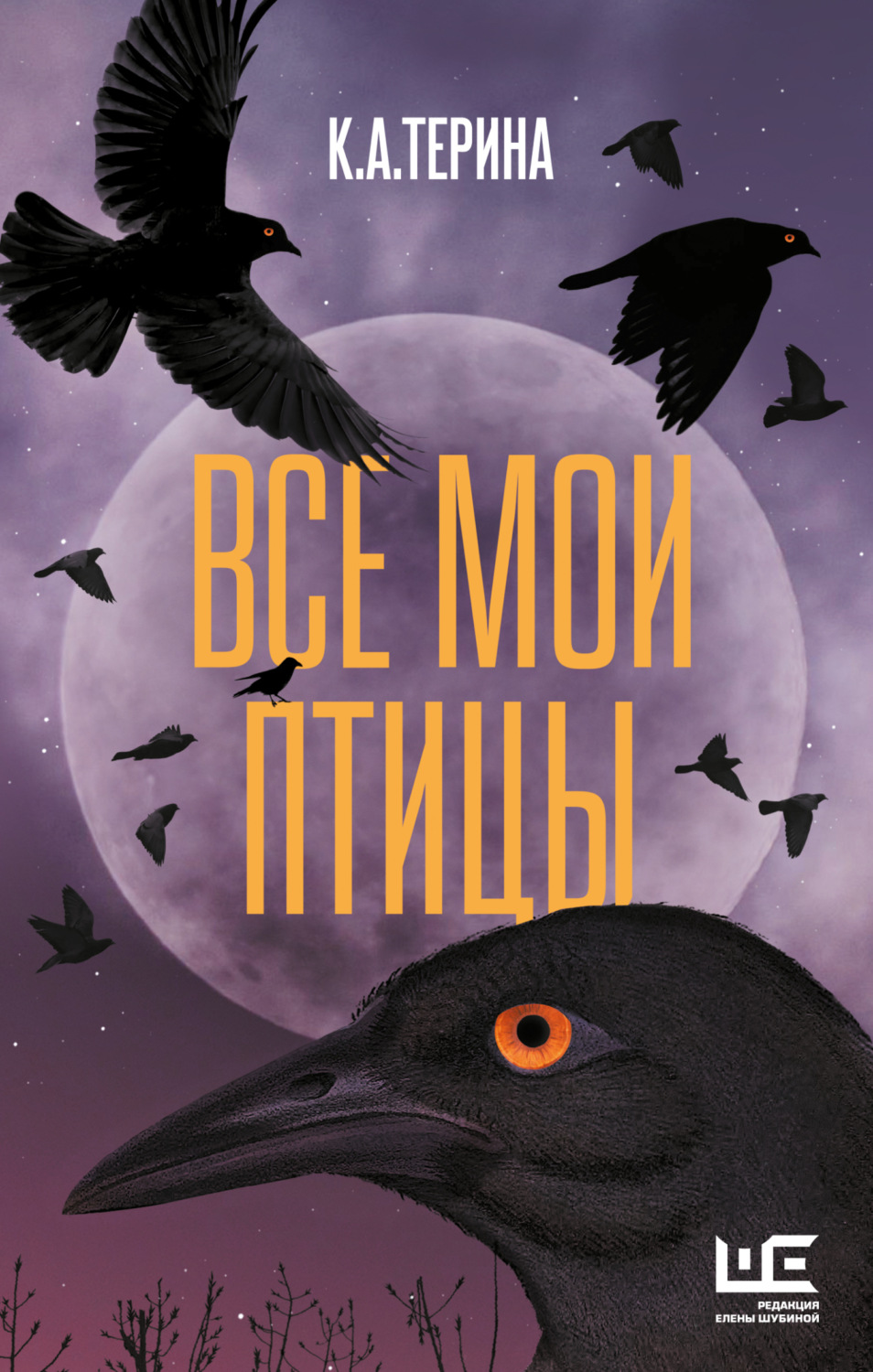 Обложка книги «Все мои птицы»
