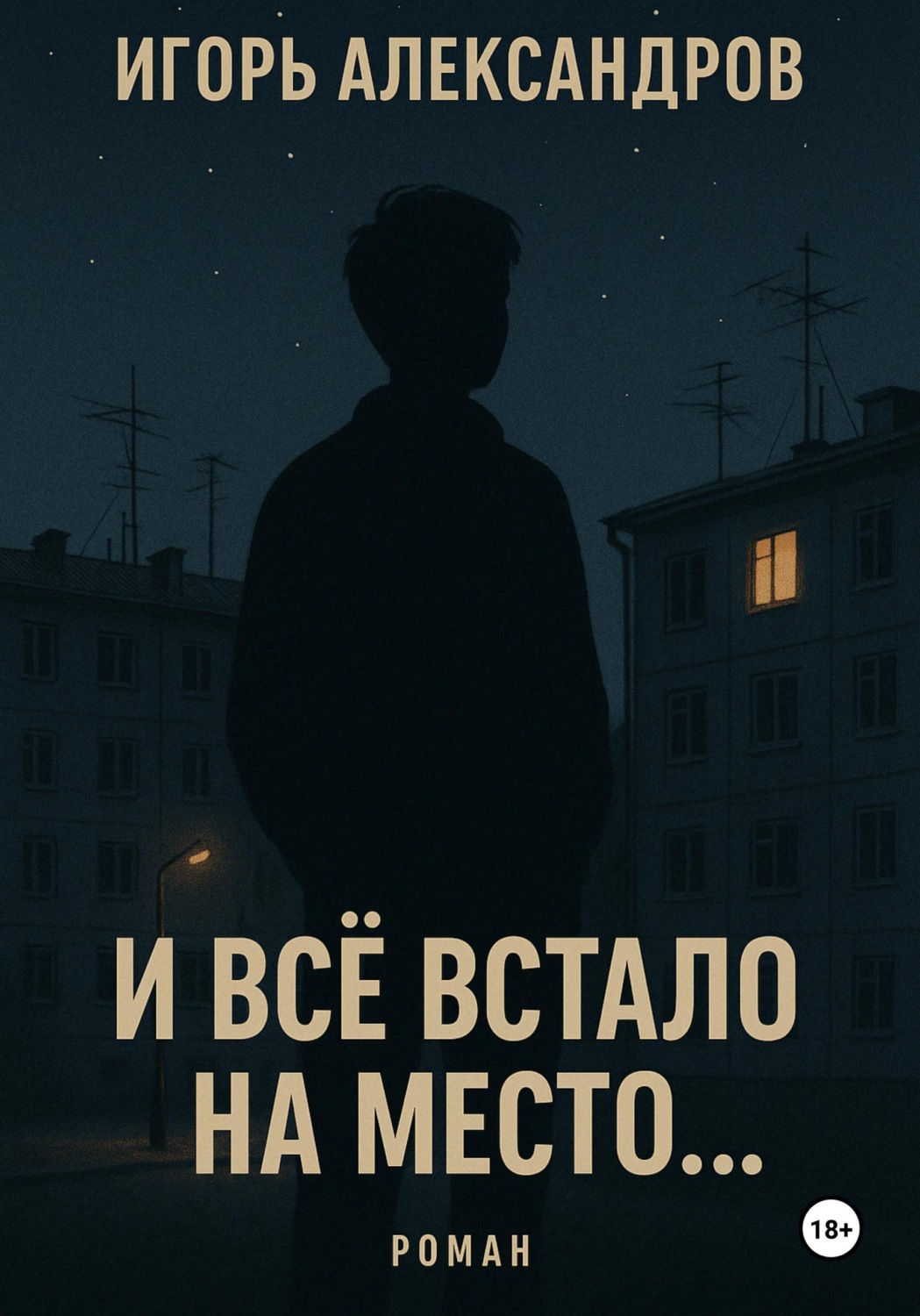 Обложка книги «И всё встало на место...»