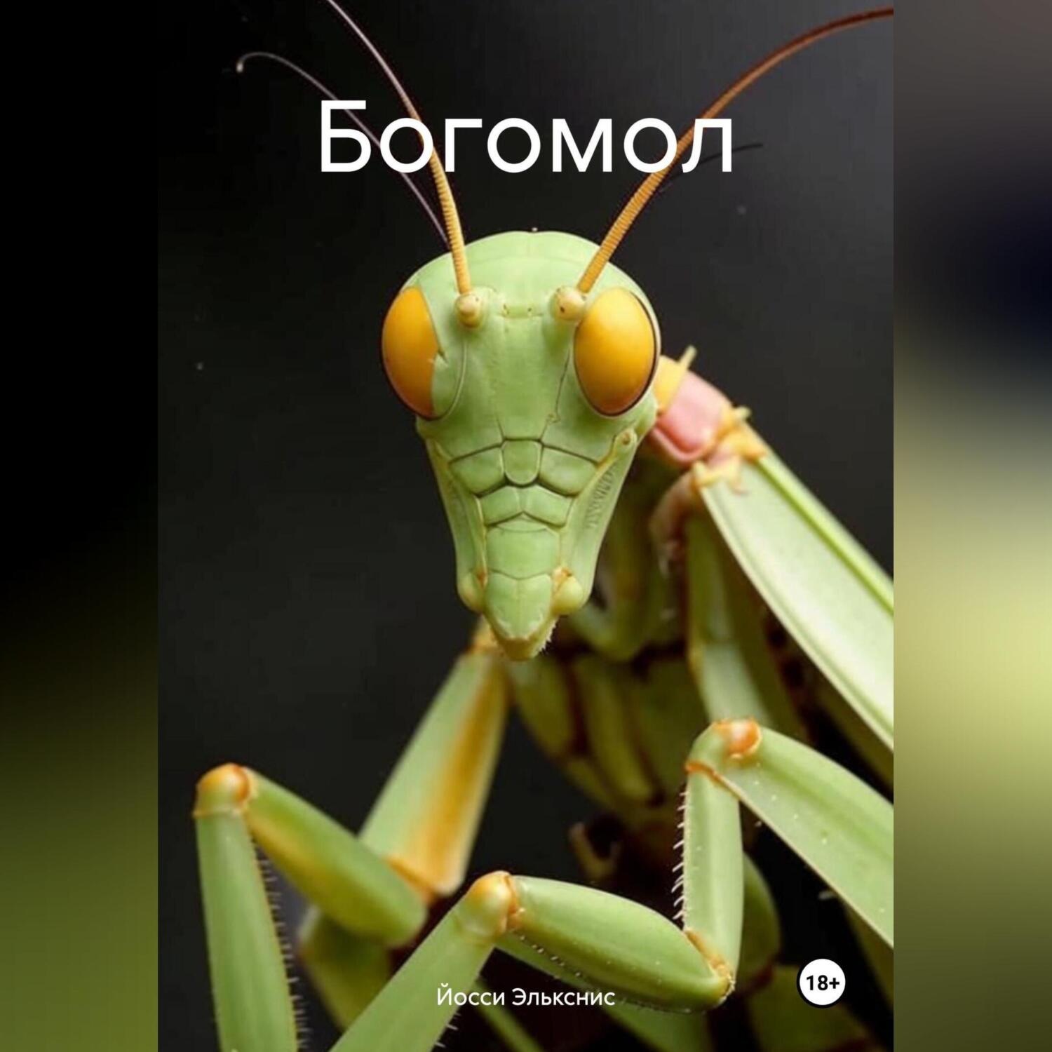 Обложка книги «Богомол»