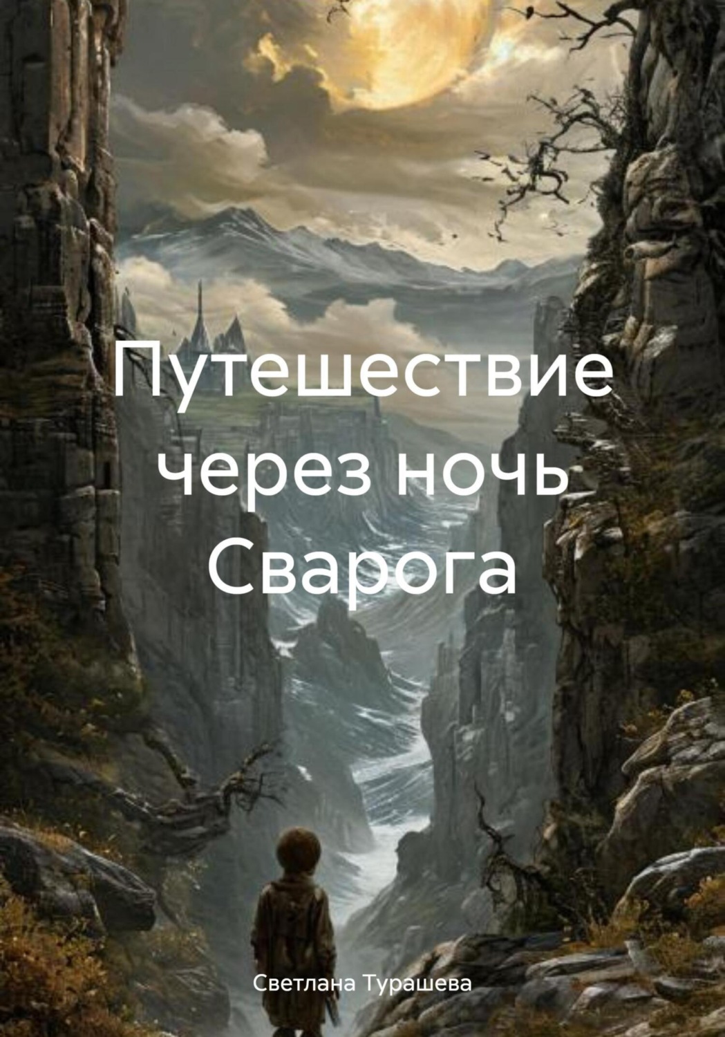 Обложка книги «Путешествие через ночь Сварога»
