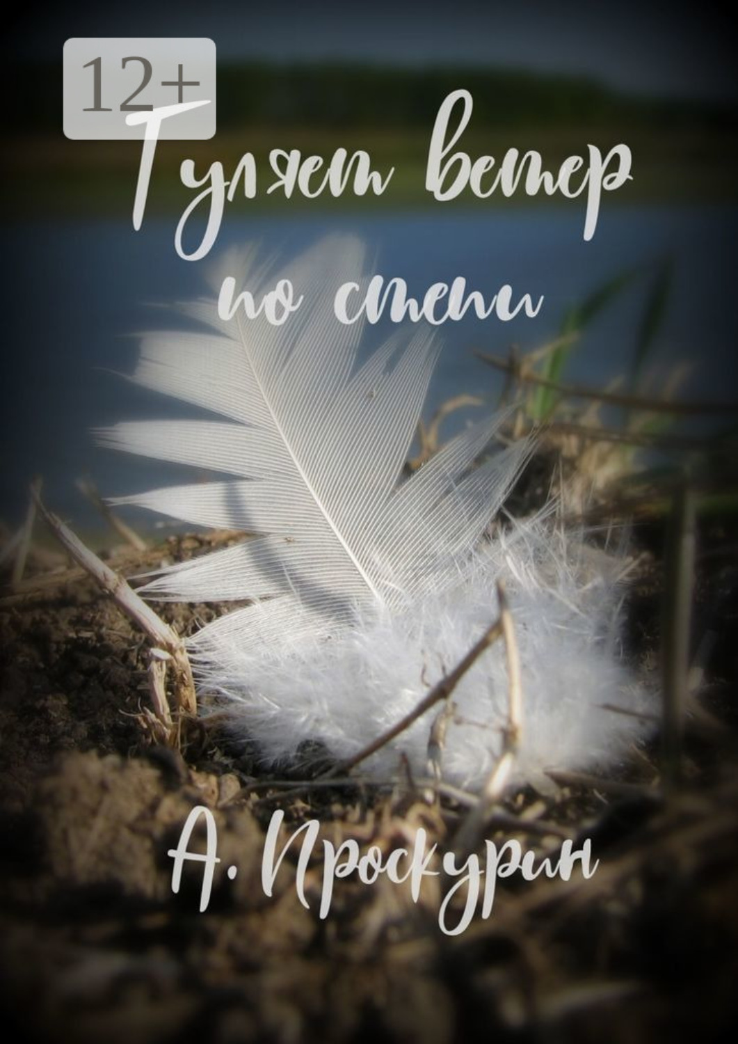 Обложка книги «Гуляет ветер по степи»