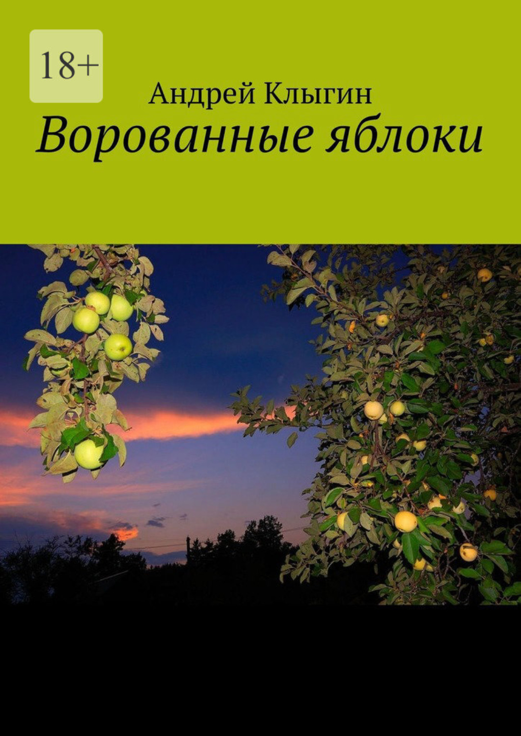 Обложка книги «Ворованные яблоки»