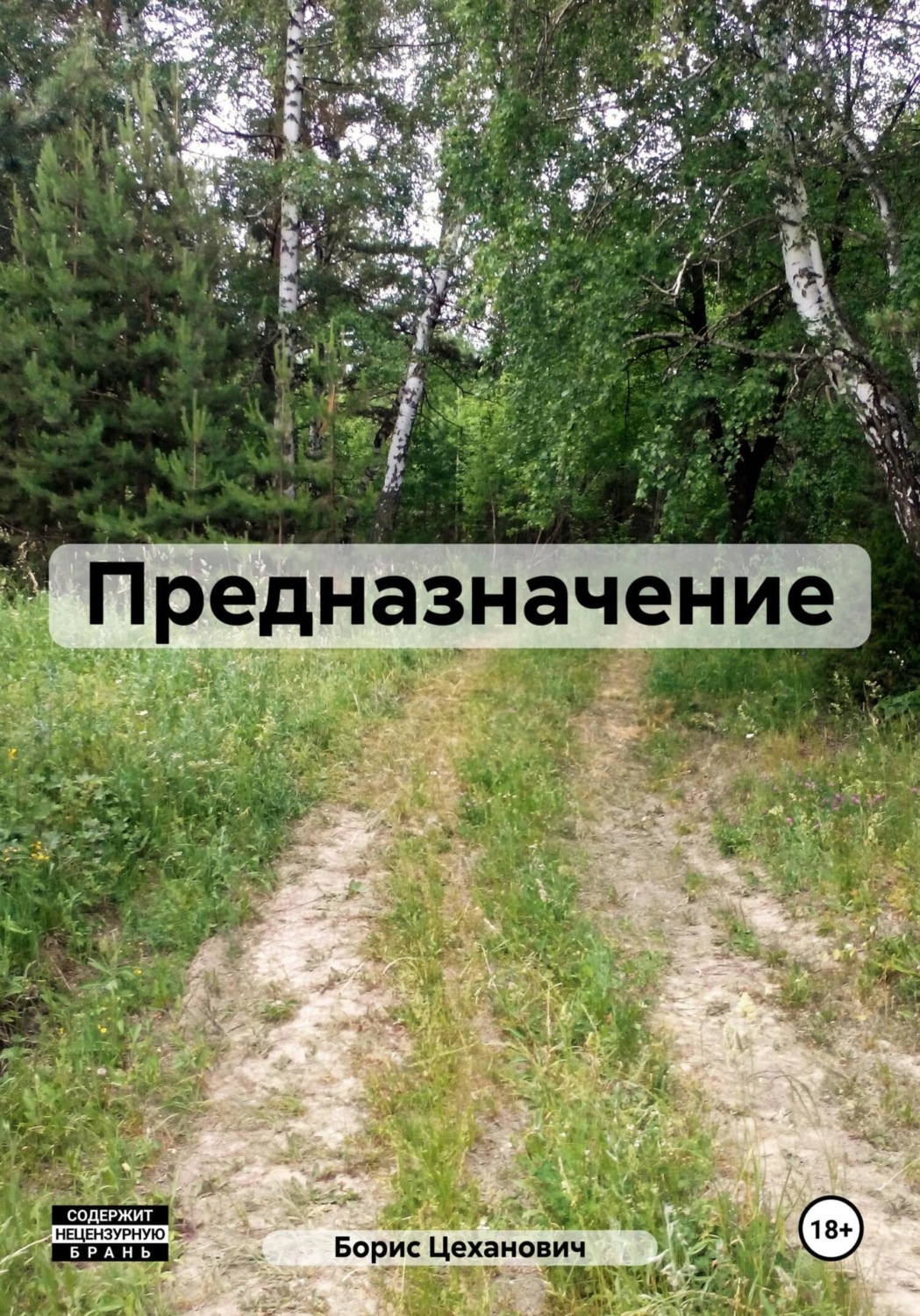 Обложка книги «Предназначение»