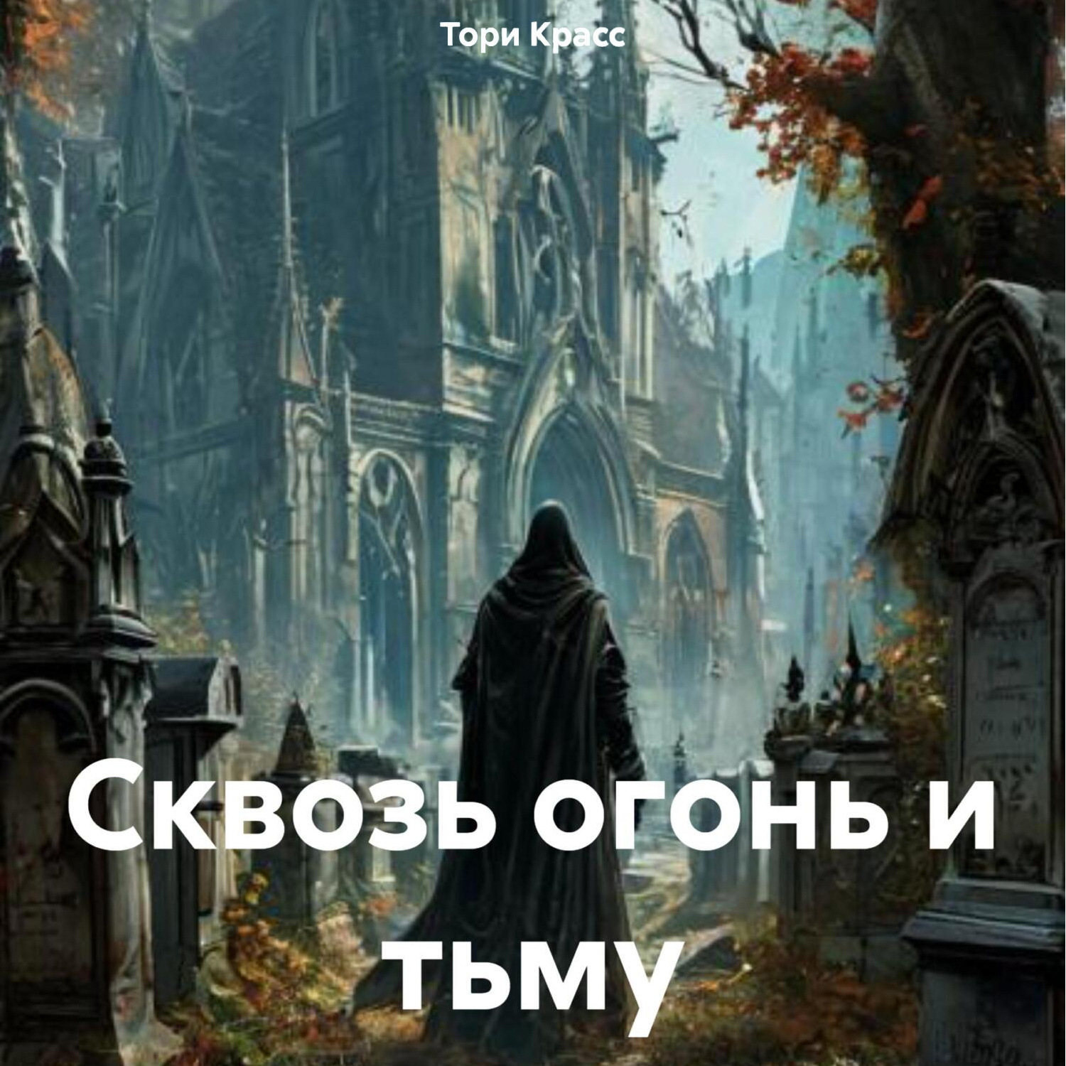 Обложка книги «Сквозь огонь и тьму»