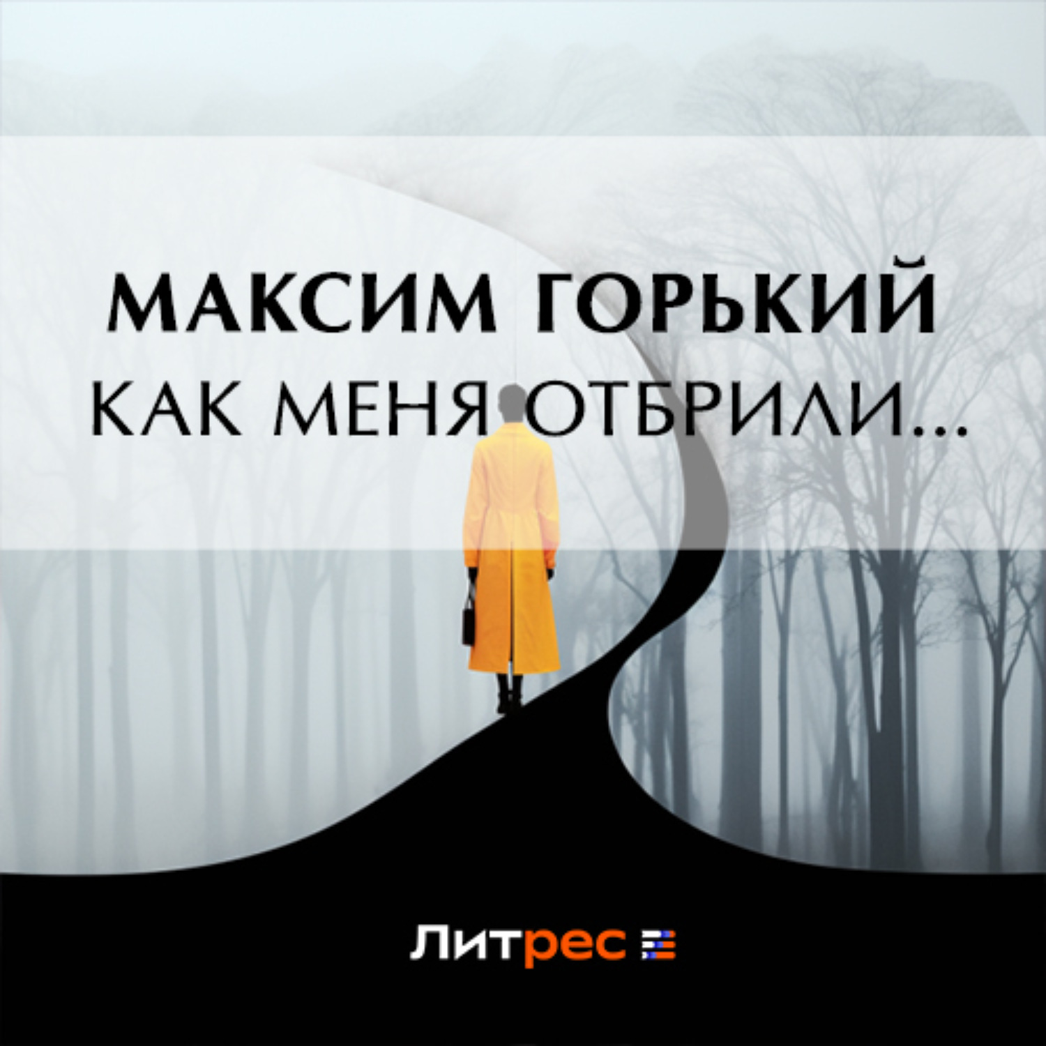 Обложка книги «Как меня отбрили…»