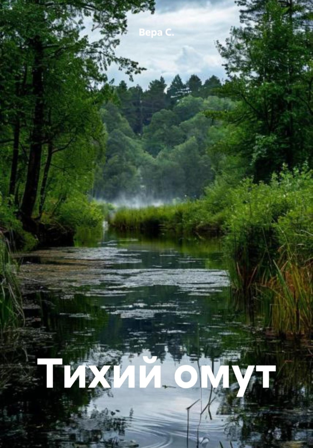 Обложка книги «Тихий омут»