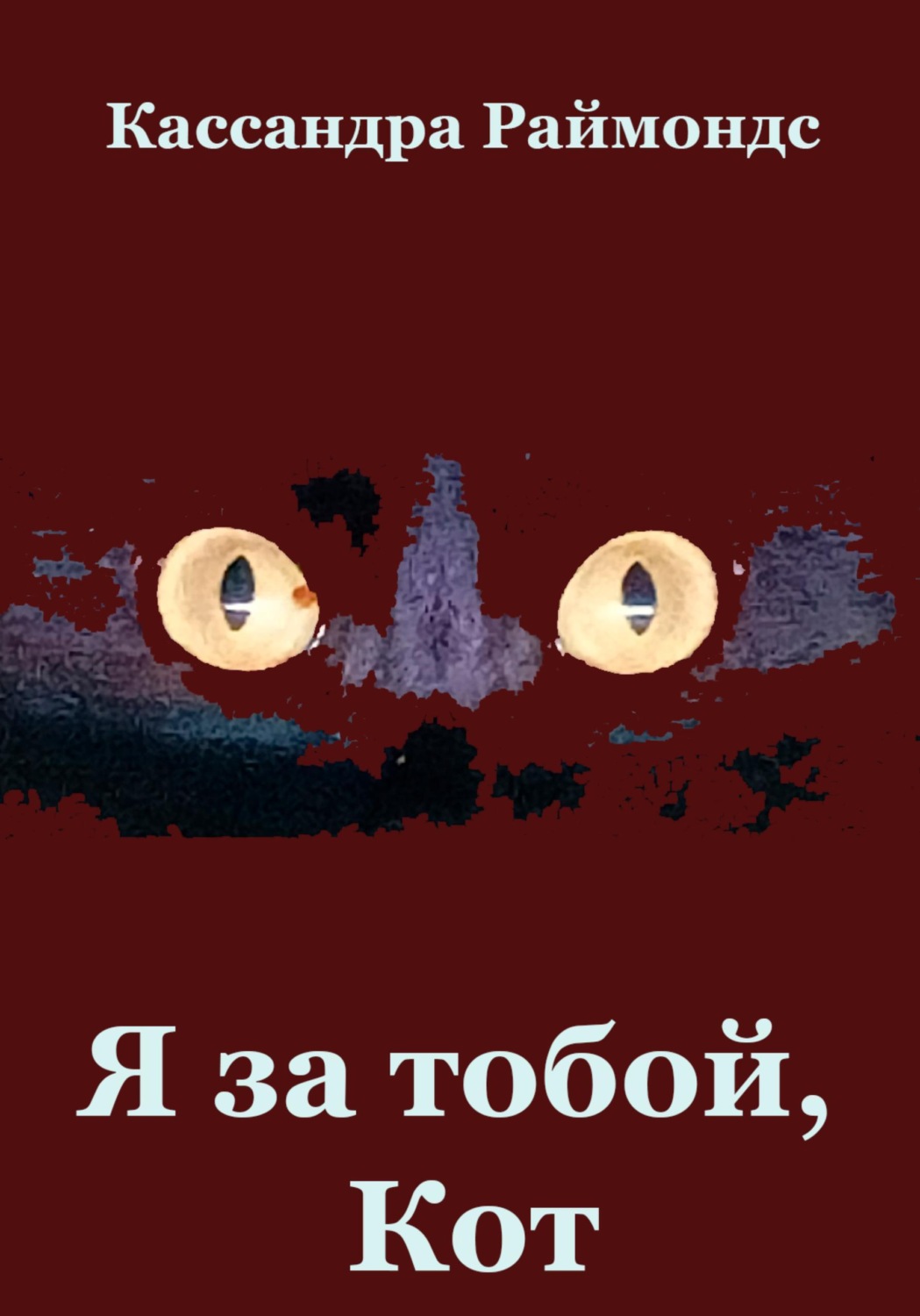 Обложка книги «Я за тобой, Кот»