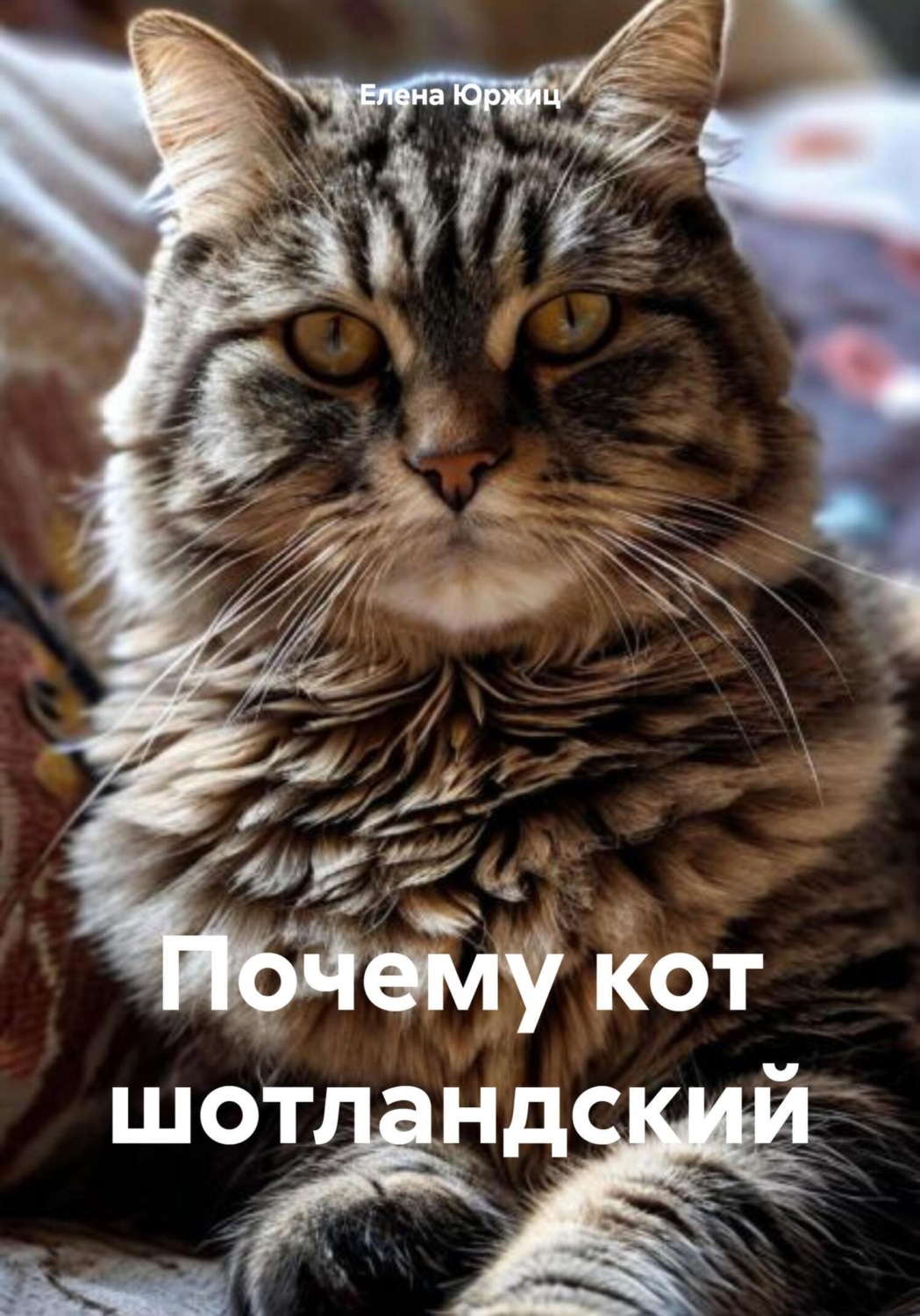 Обложка книги «Почему кот шотландский»