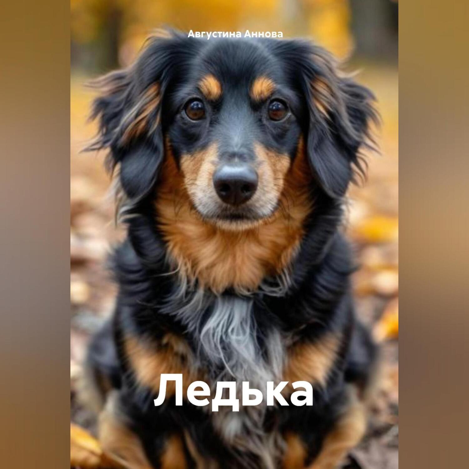 Обложка книги «Ледька»