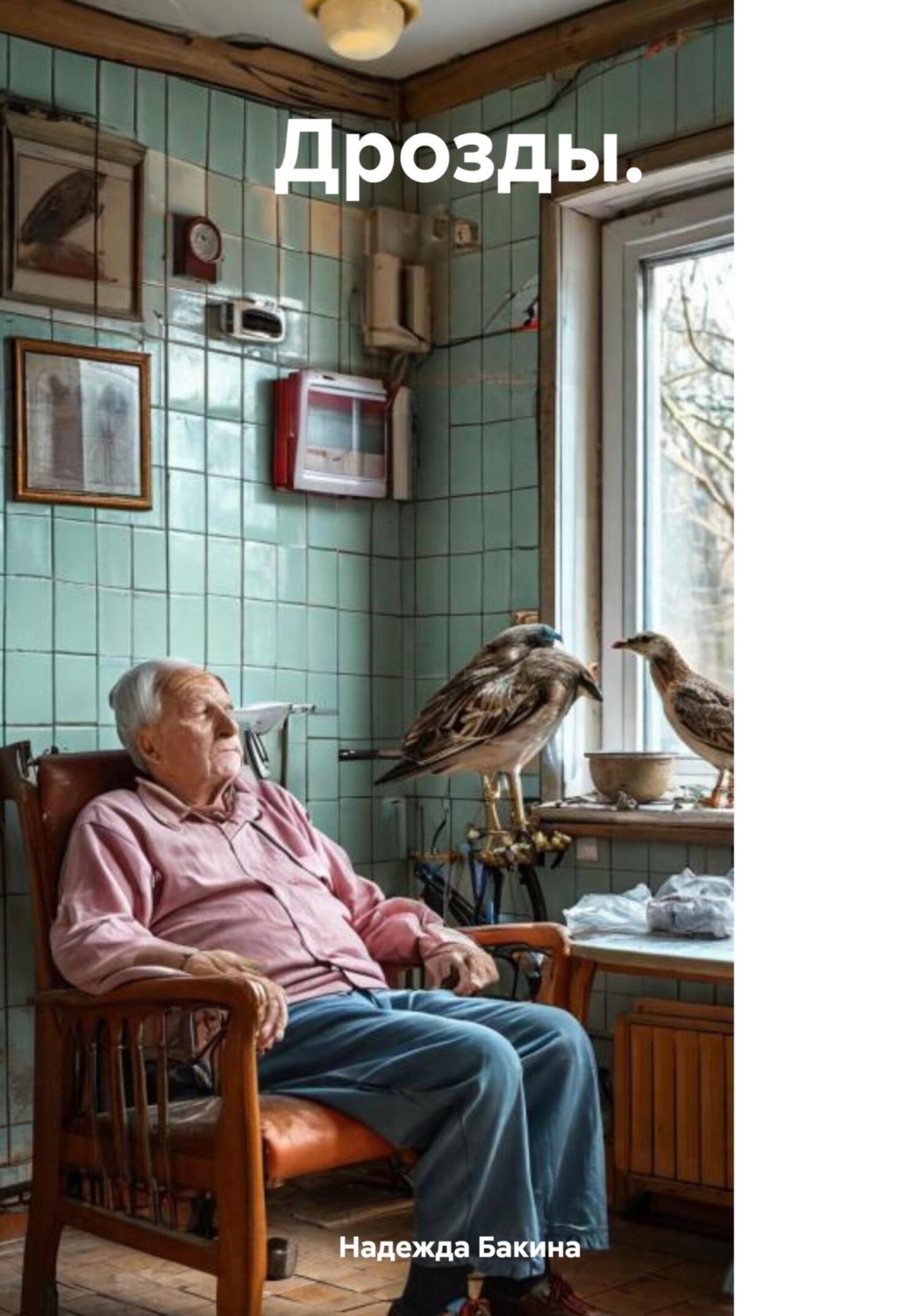 Обложка книги «Дрозды»