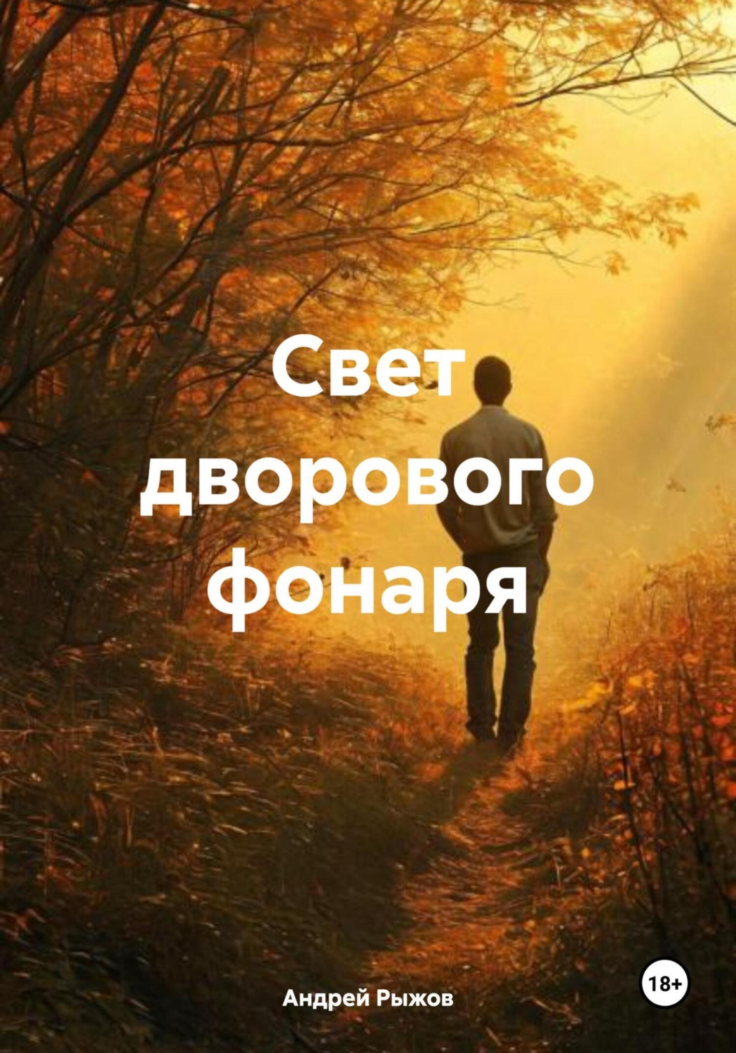 Обложка книги «Свет дворового фонаря»