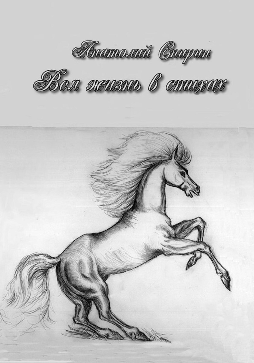 Обложка книги «Вся жизнь в стихах»