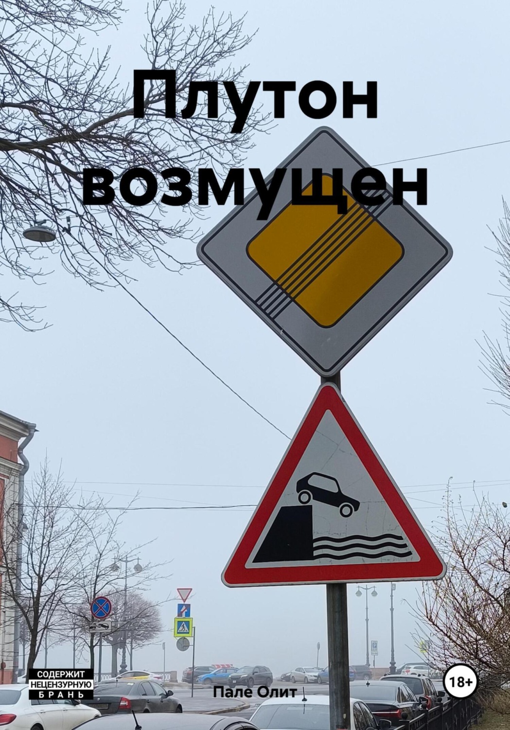 Обложка книги «Плутон возмущен»