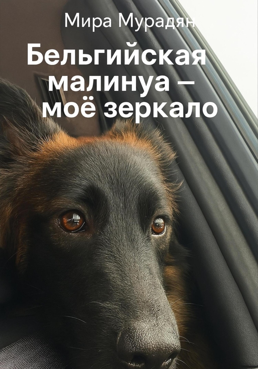 Обложка книги «Бельгийская Малинуа – моё зеркало»