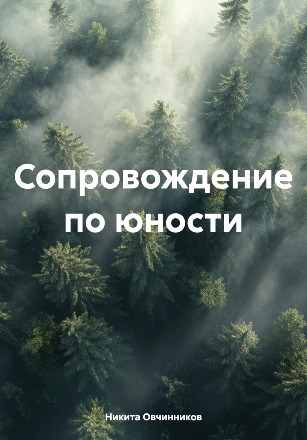 Обложка книги «Сопровождение по юности»
